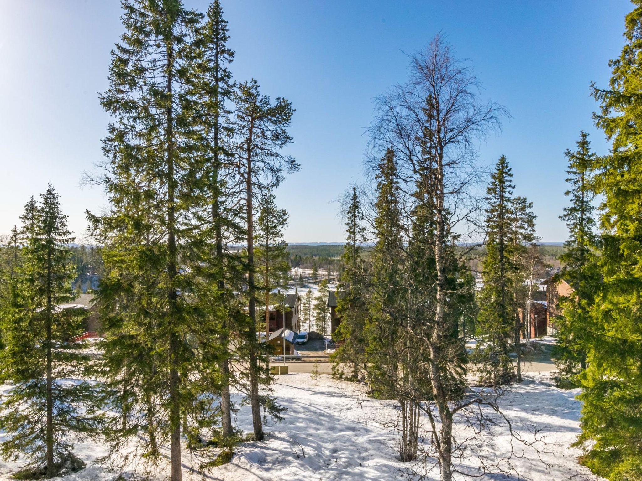 Photo of Karhunvartijan pirtti c4