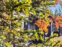 Salakolo 2: Gezellig vakantiehuis aan meer in de Finse bergen voor 10 personen - thumbnail 3