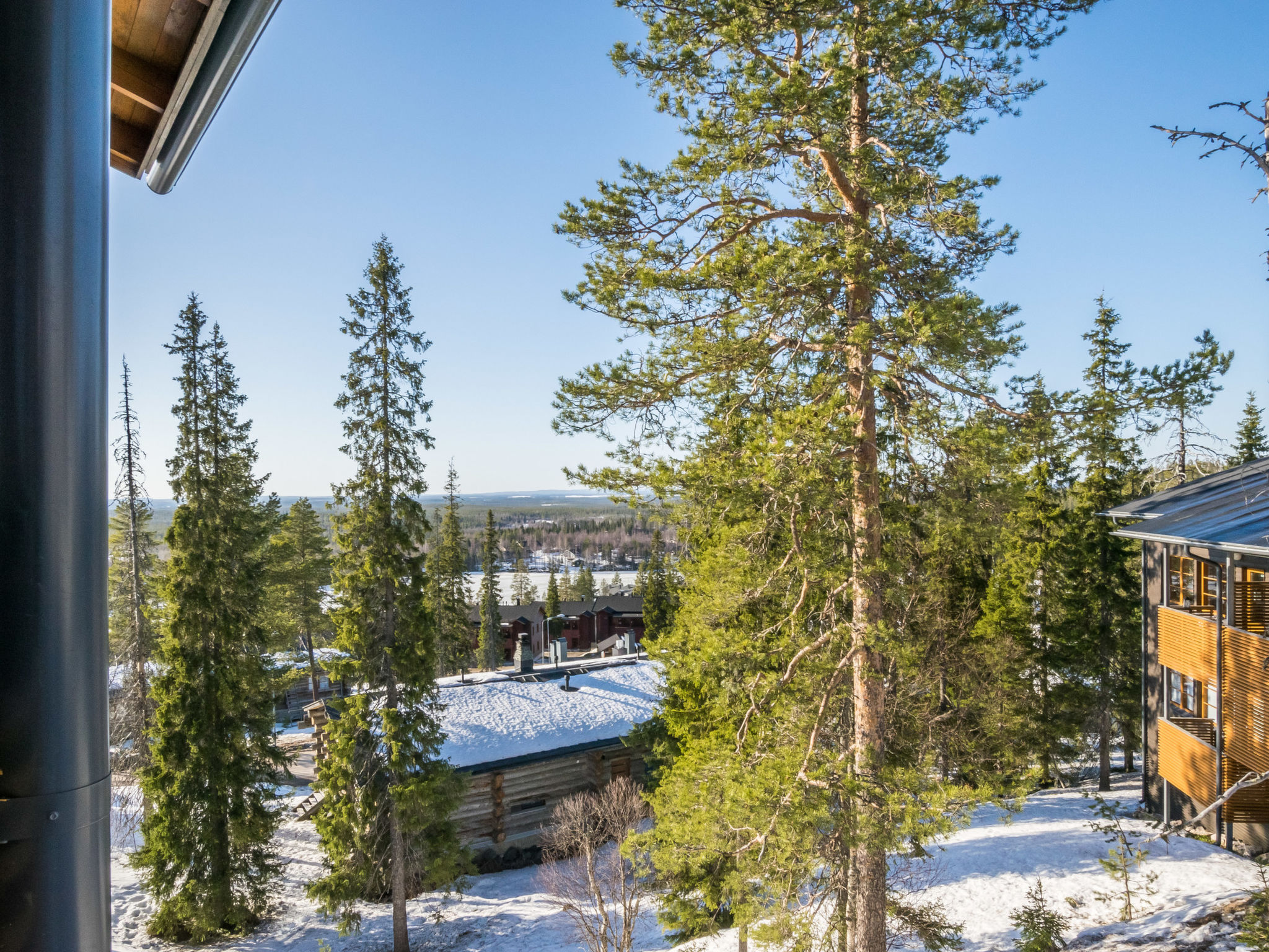 Photo of Kesä-iikka c6