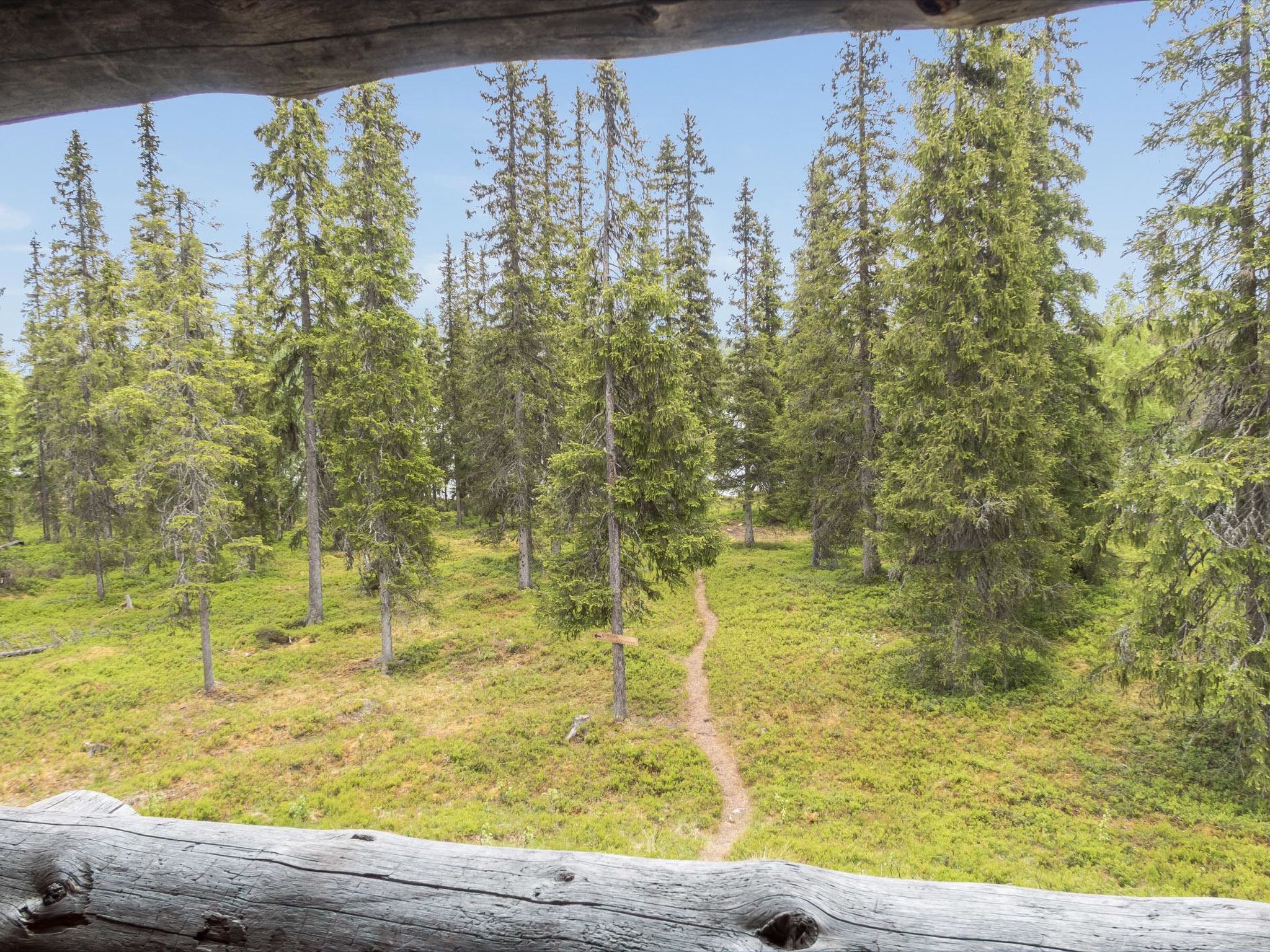 Photo of Kelokantola