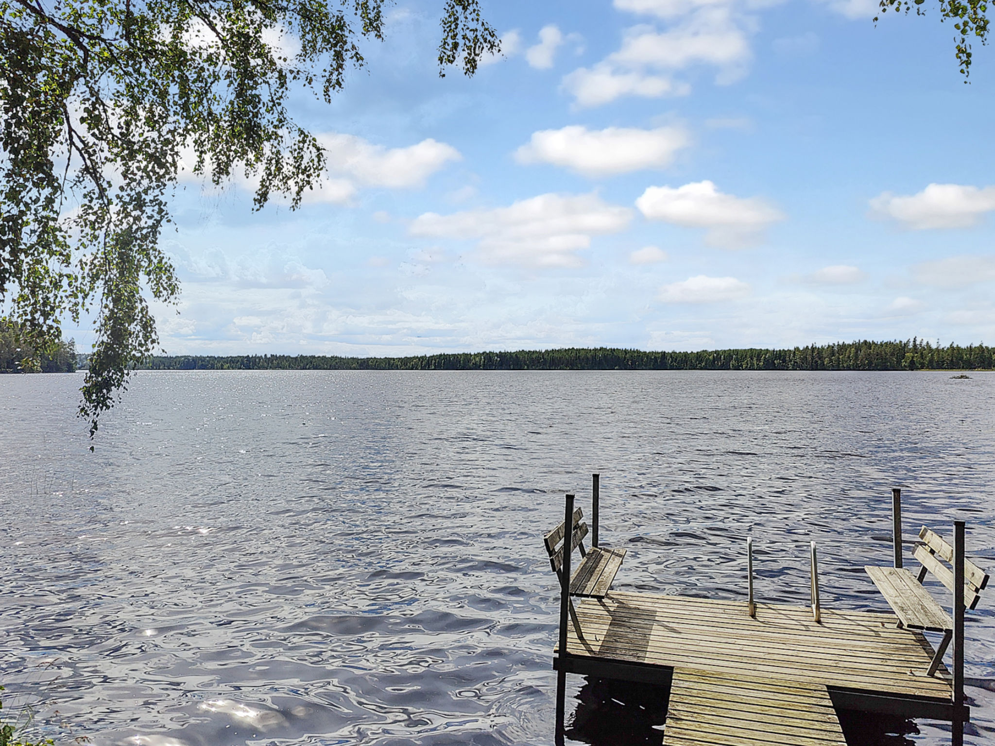 Koivula - Dedans
