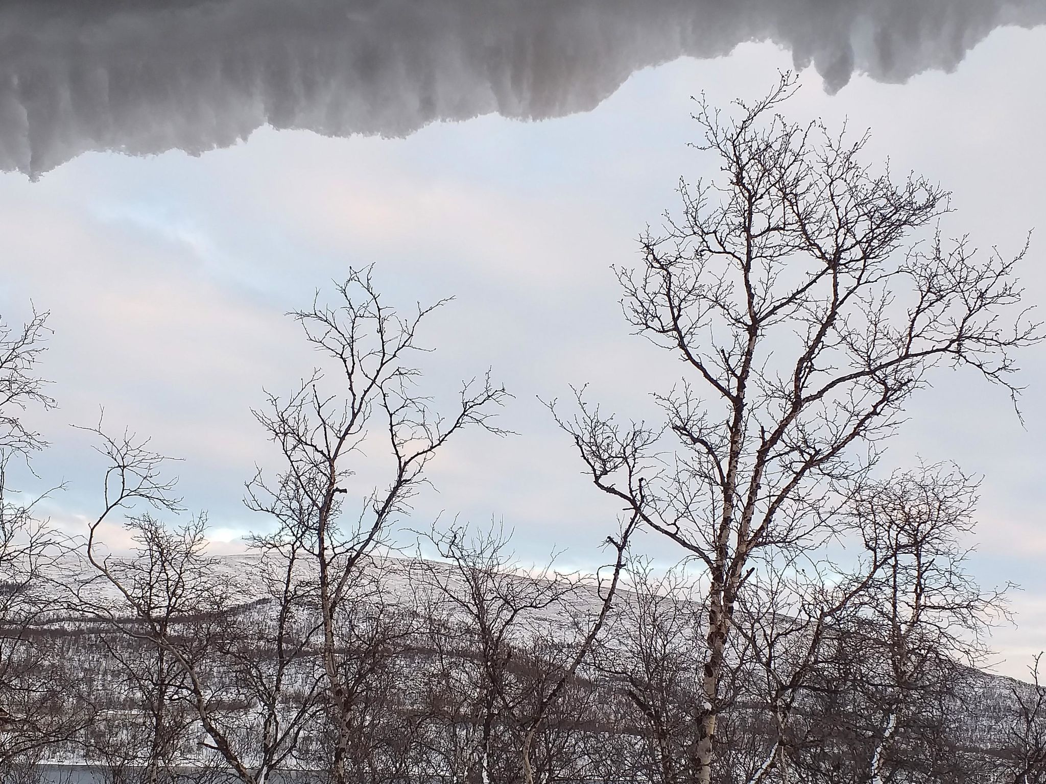 Willa kiiruna-Binnen