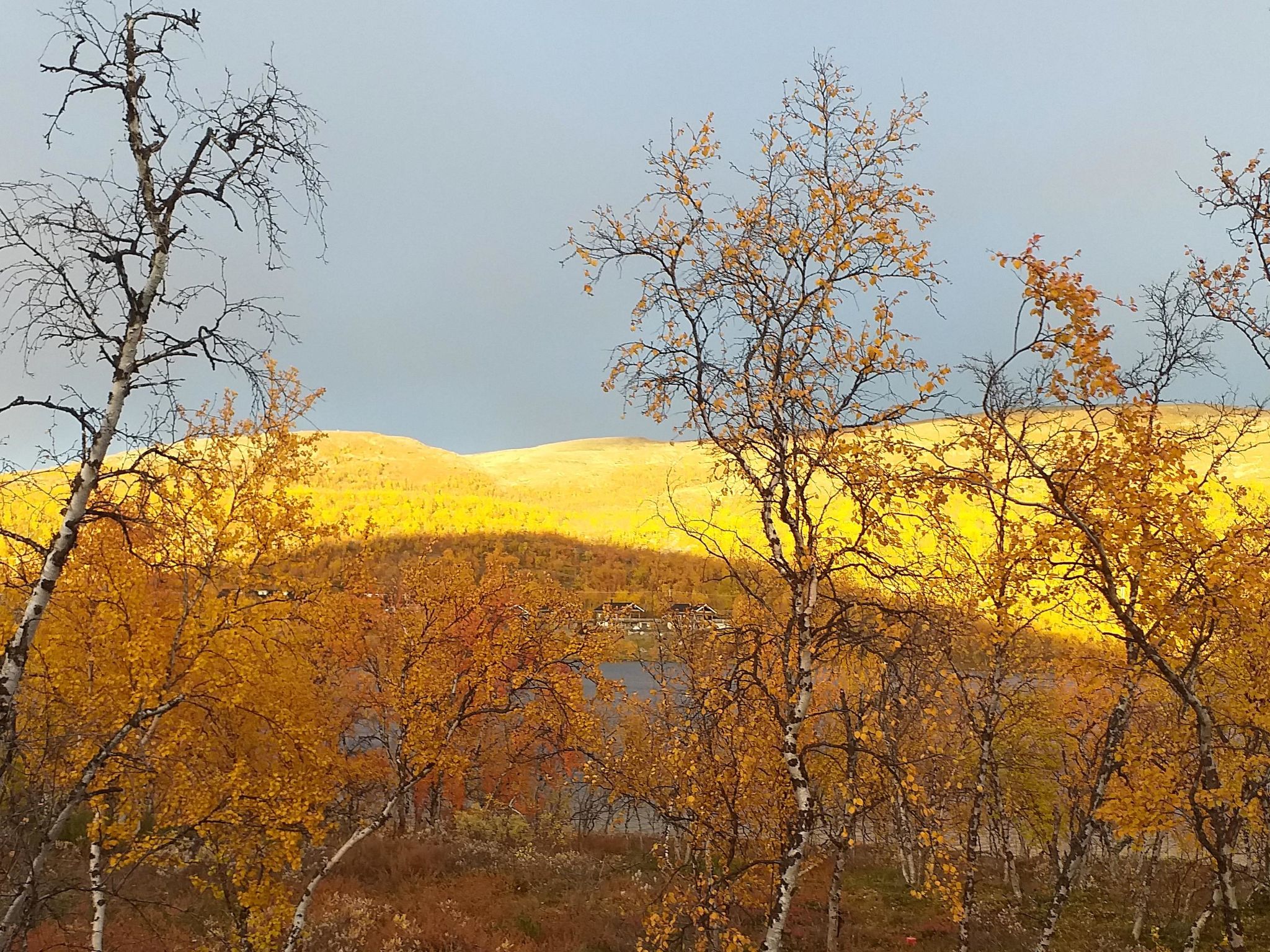 Willa kiiruna-Binnen