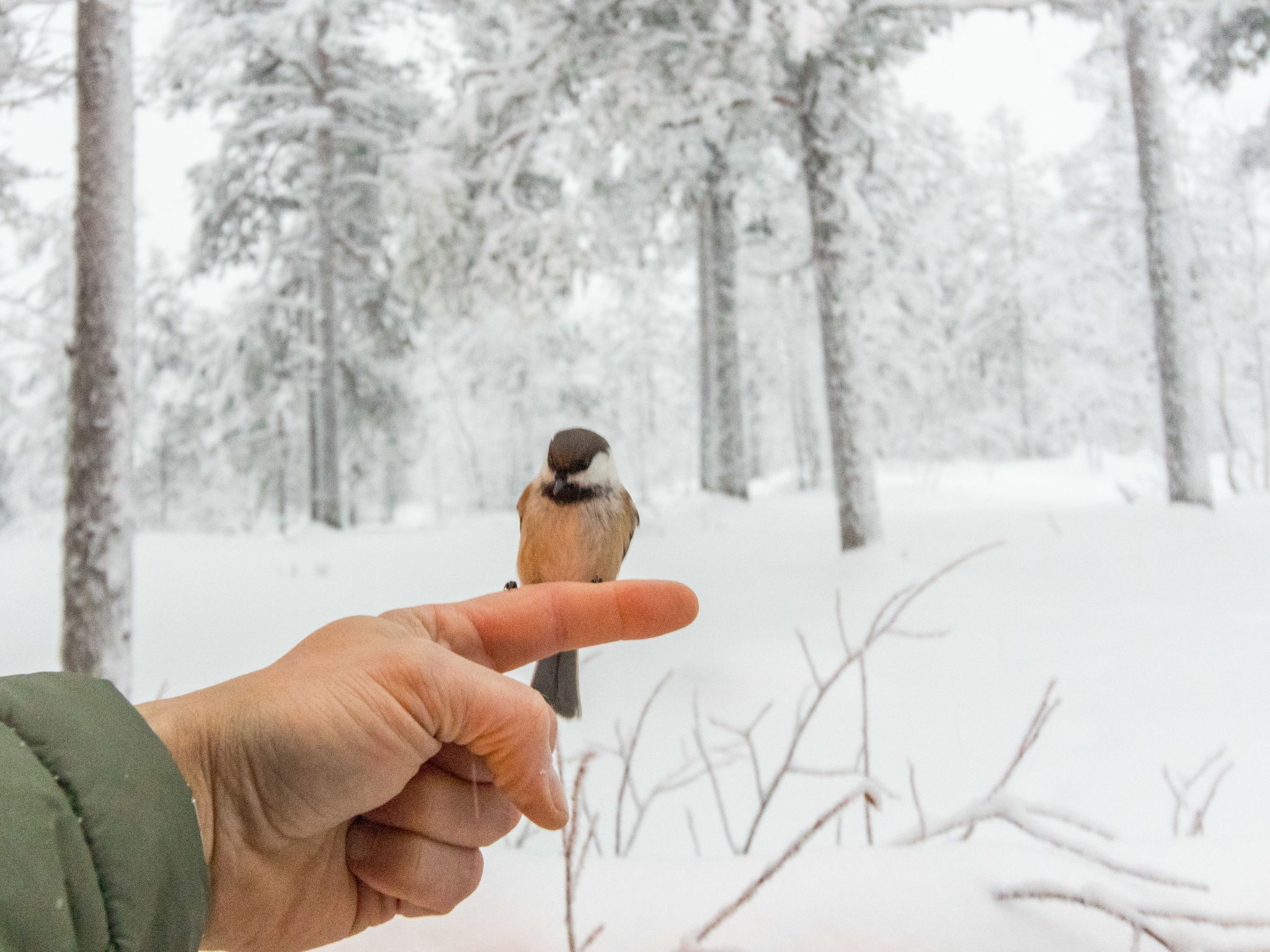 Salvostie 13, hetta-Drinnen