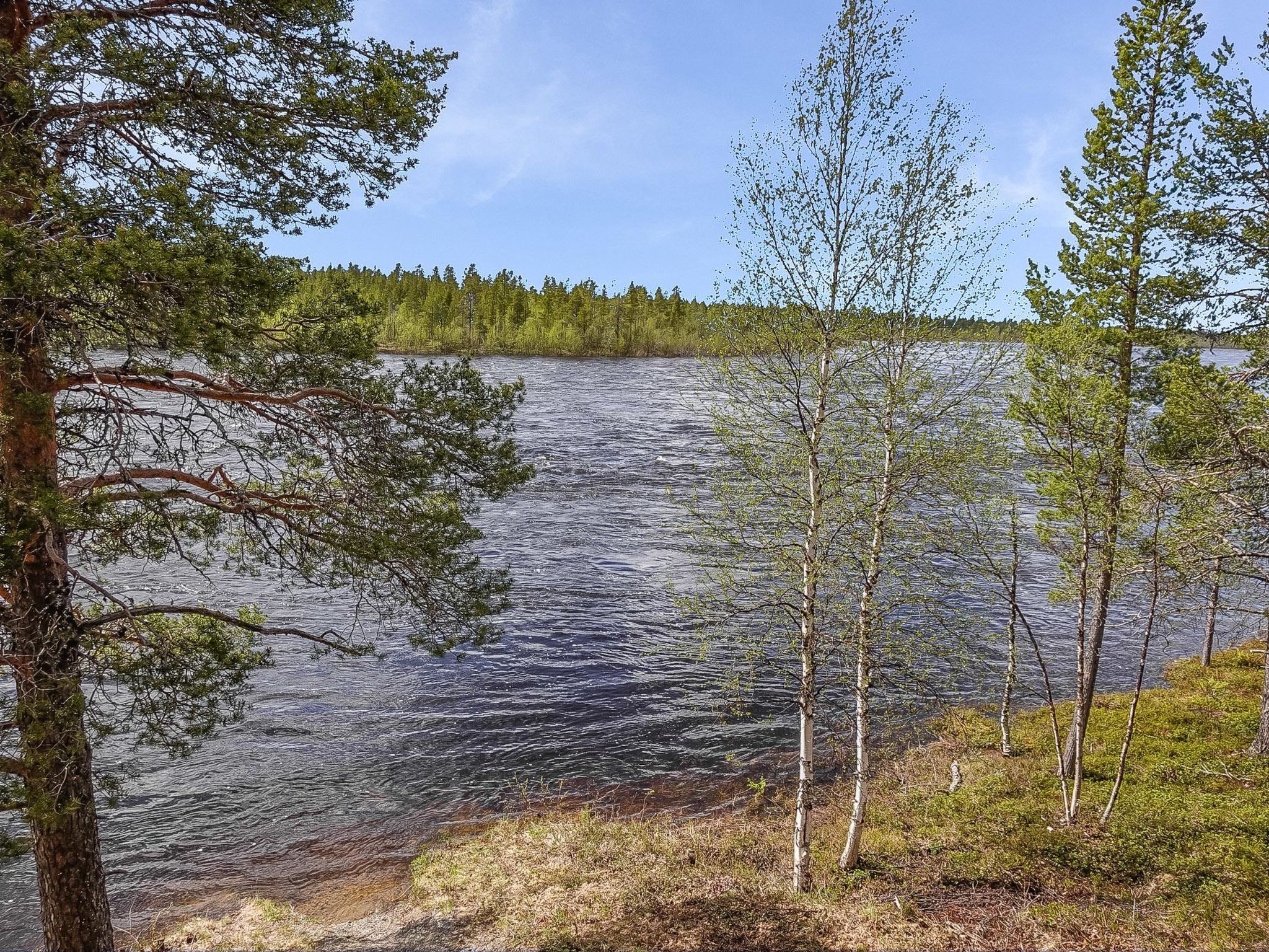 Luongasloma 2-Inside