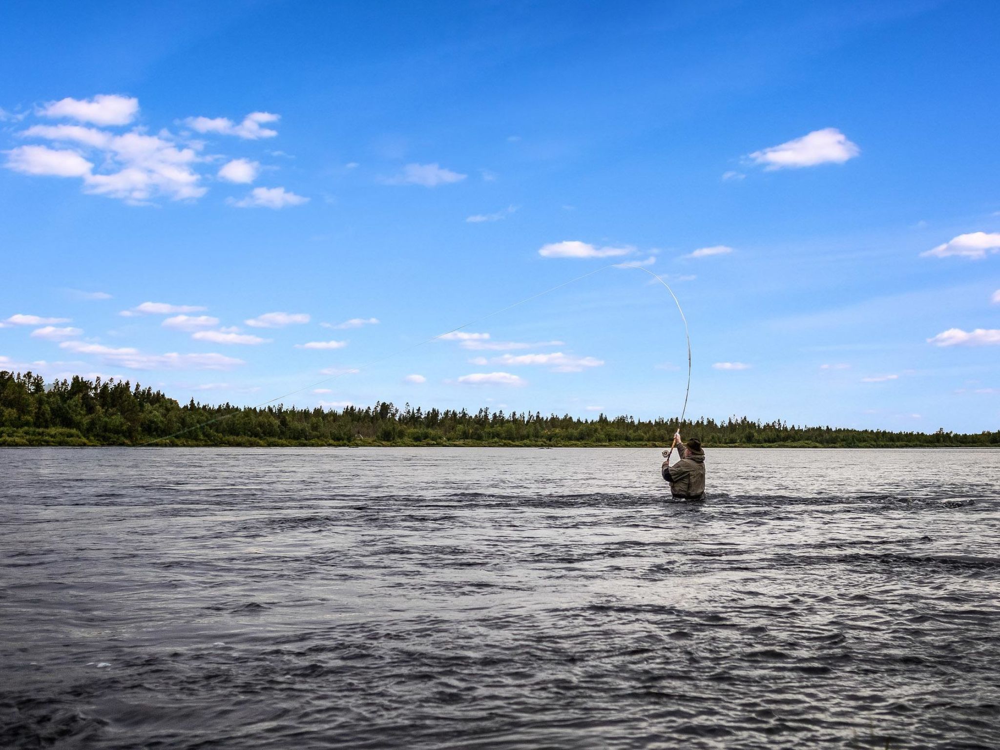 Luongasloma 2-Inside