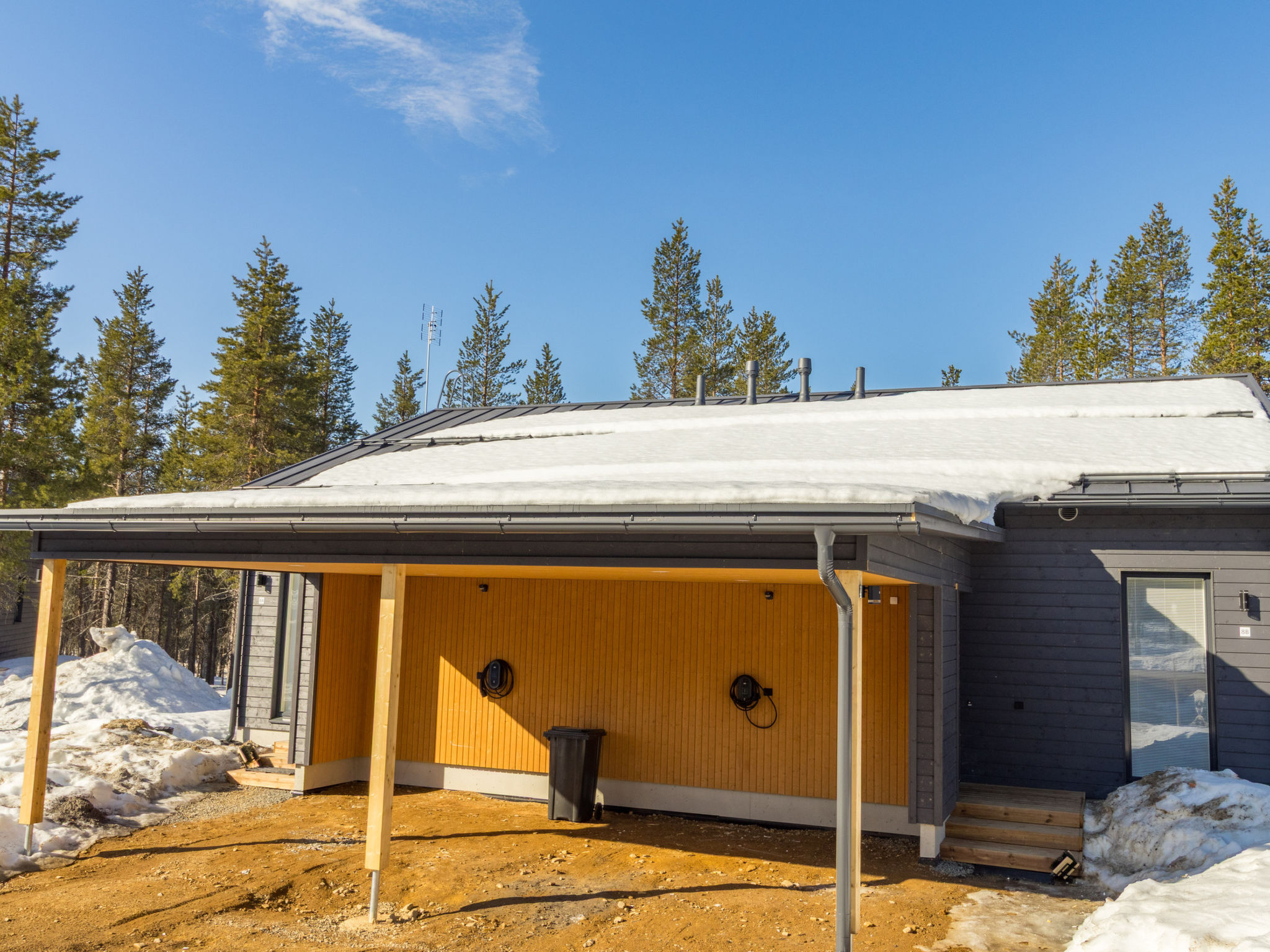 Saariselän aavahelmi b