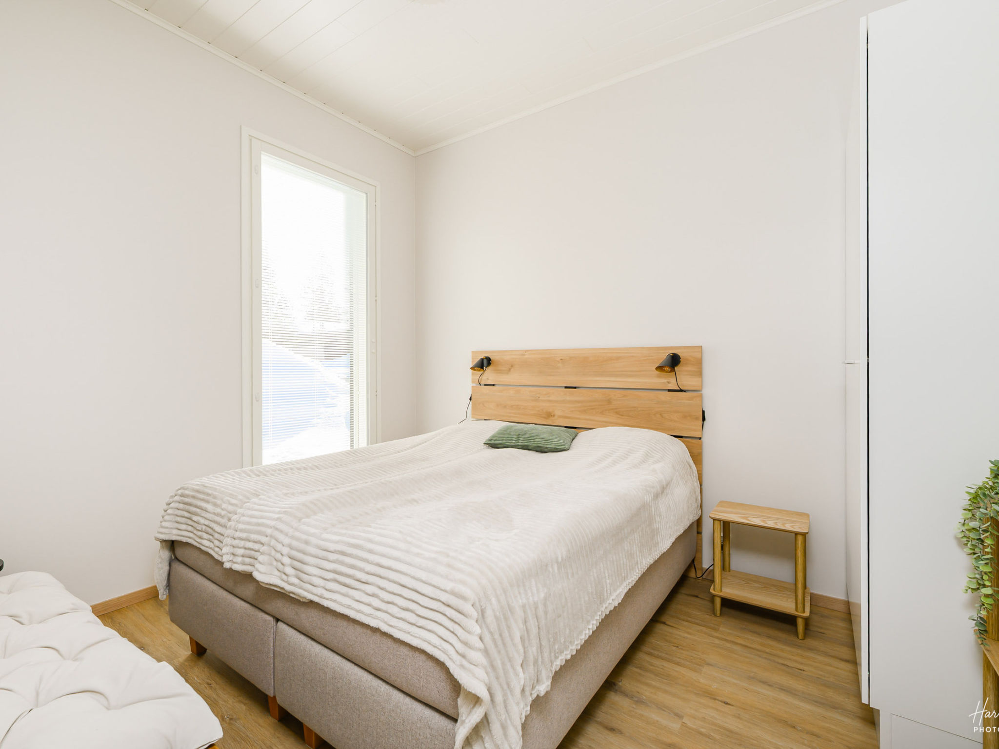 Photo of Saariselän aavahelmi c