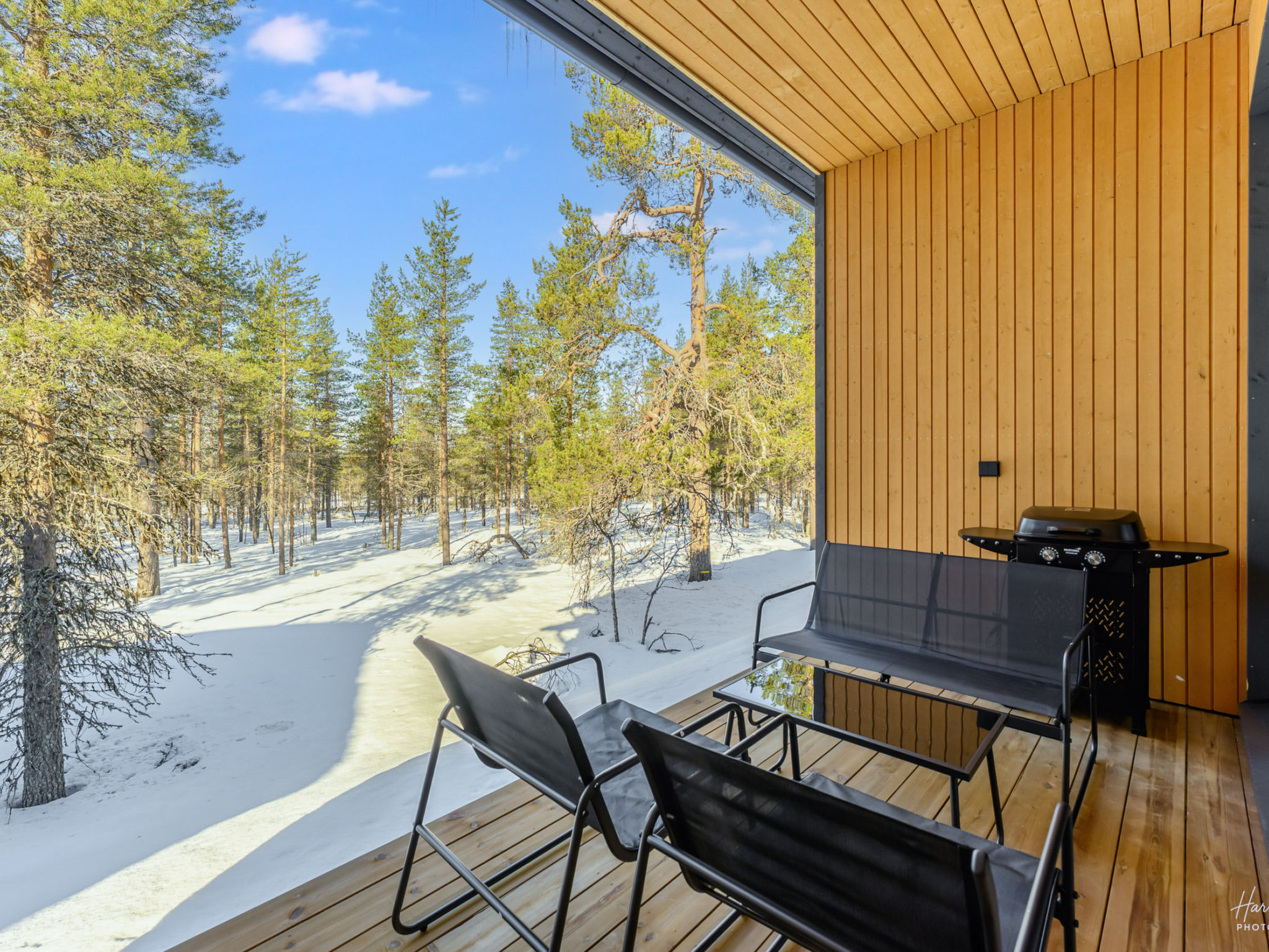 Photo of Saariselän aavahelmi c