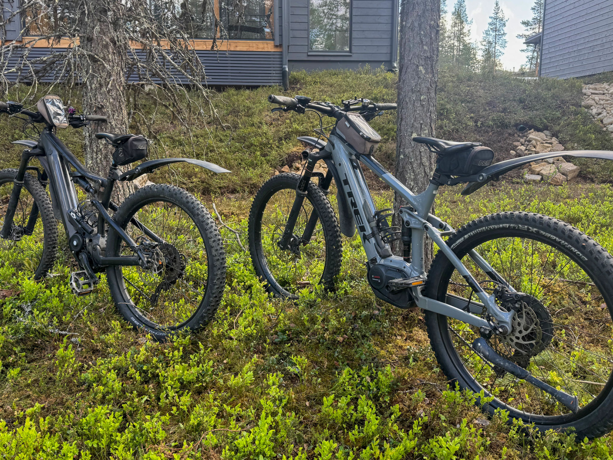 Photo of Saariselän aavahelmi c