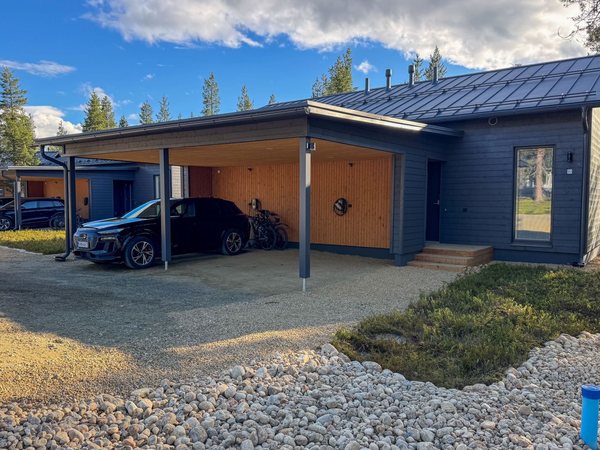 Saariselän aavahelmi c