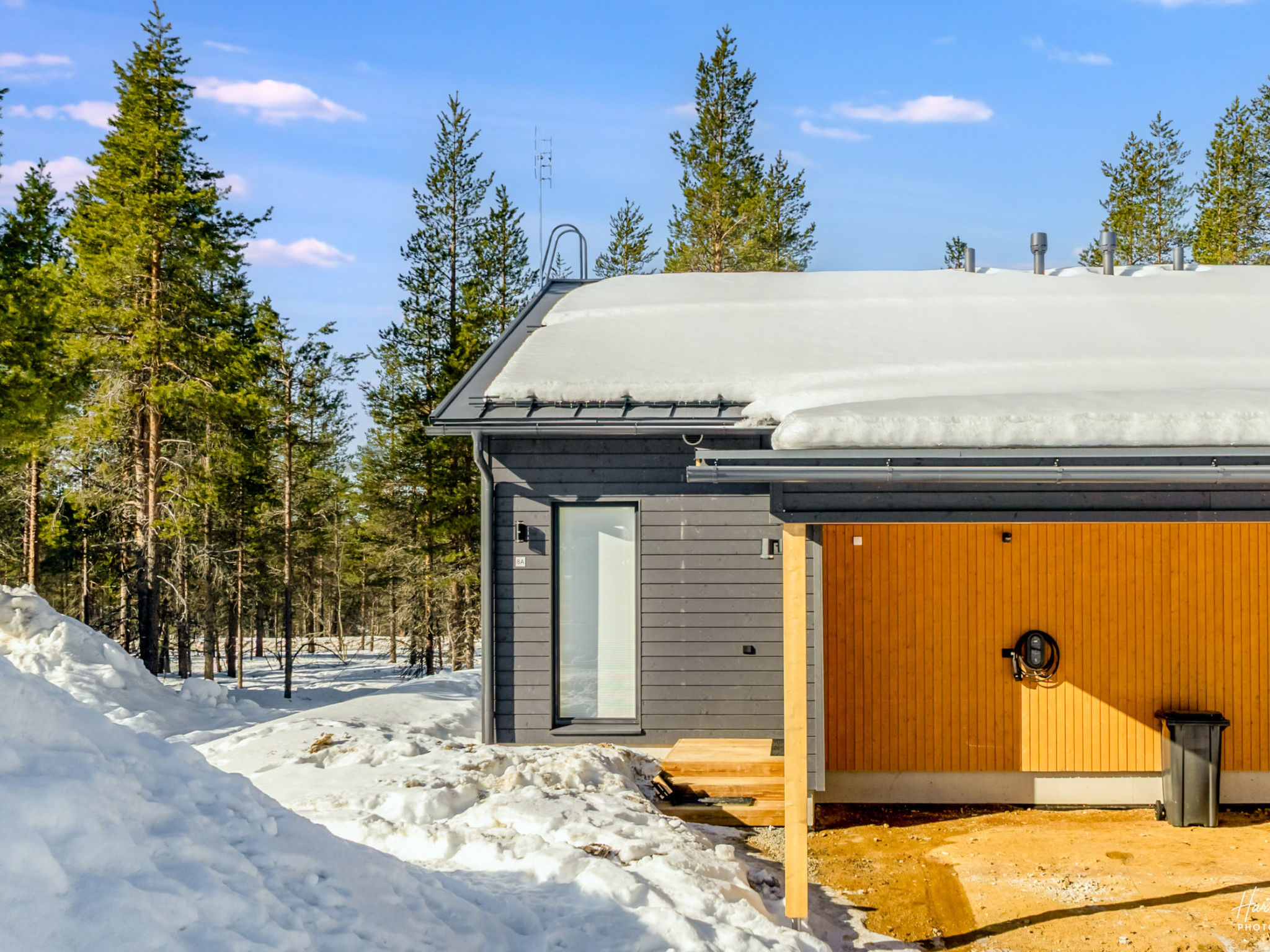 Saariselän aavahelmi c