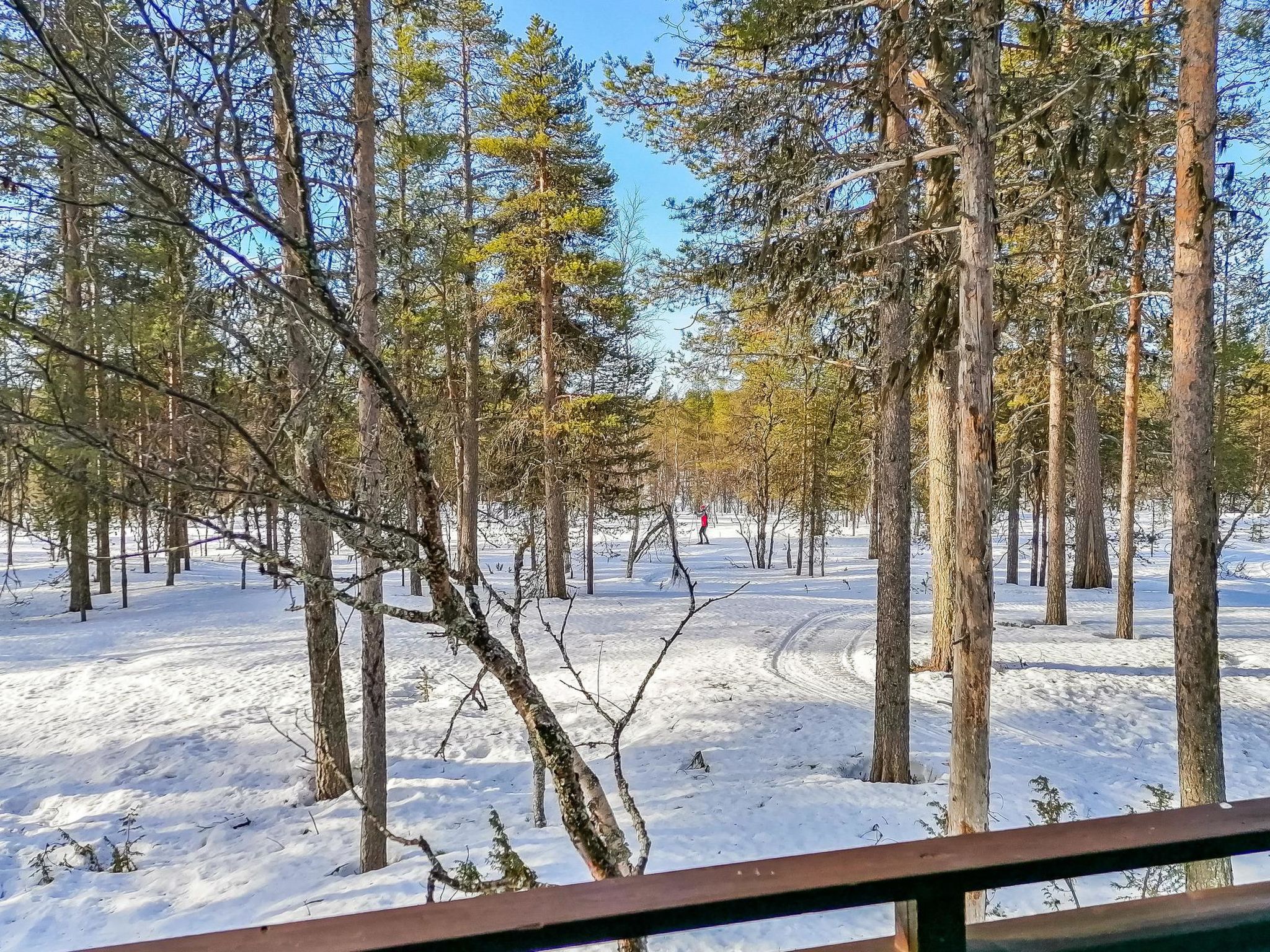 Photo of Siulapalkinen b 8