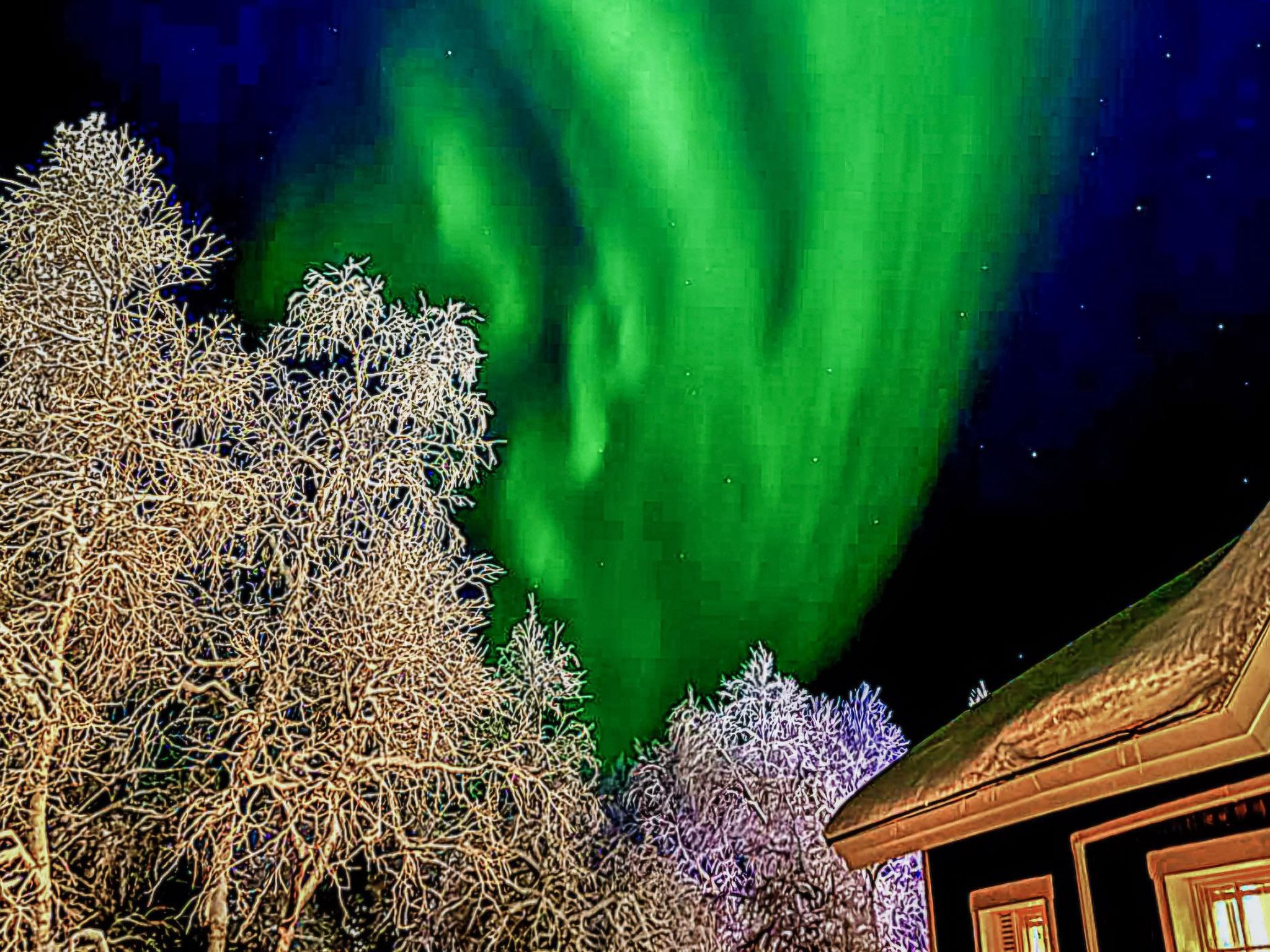 Photo of Tunturikuksa