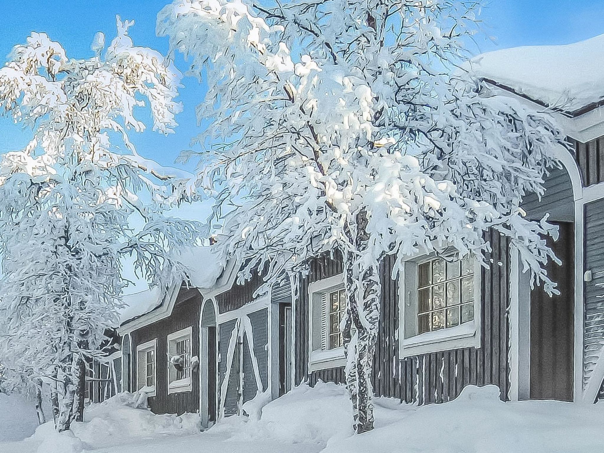 Photo of Tunturikuksa