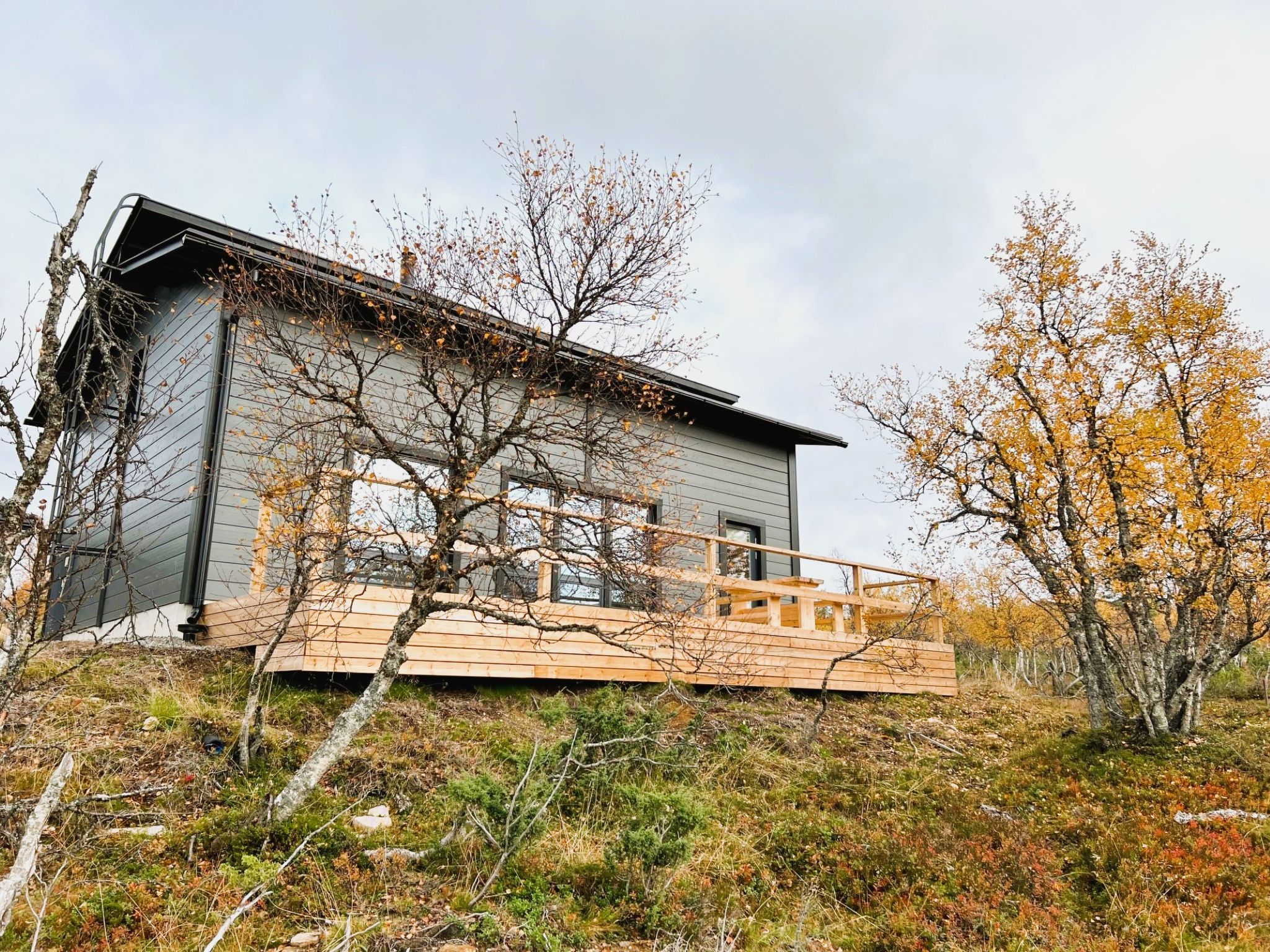 Villa viima