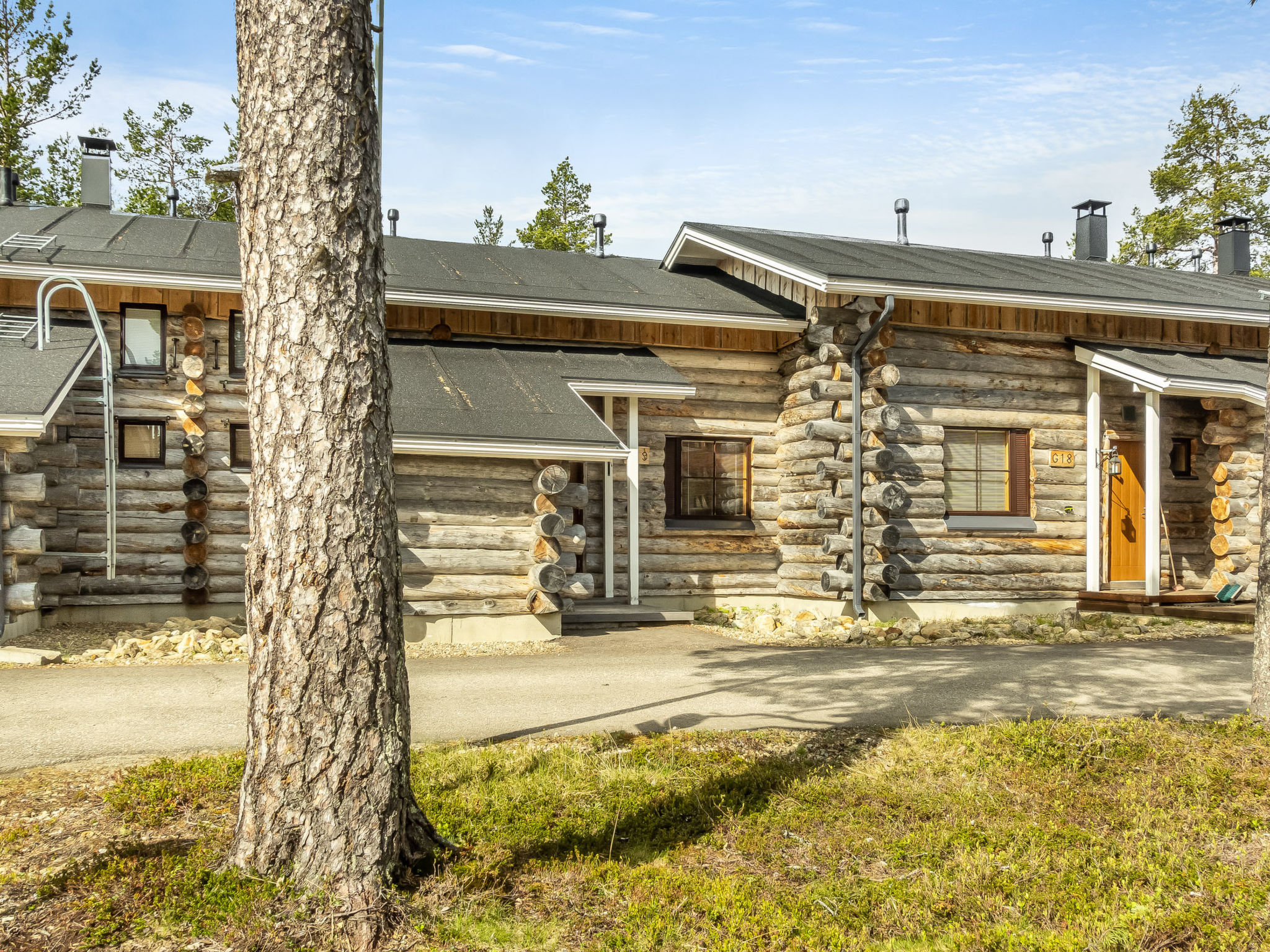 Photo of Kuukkahainen