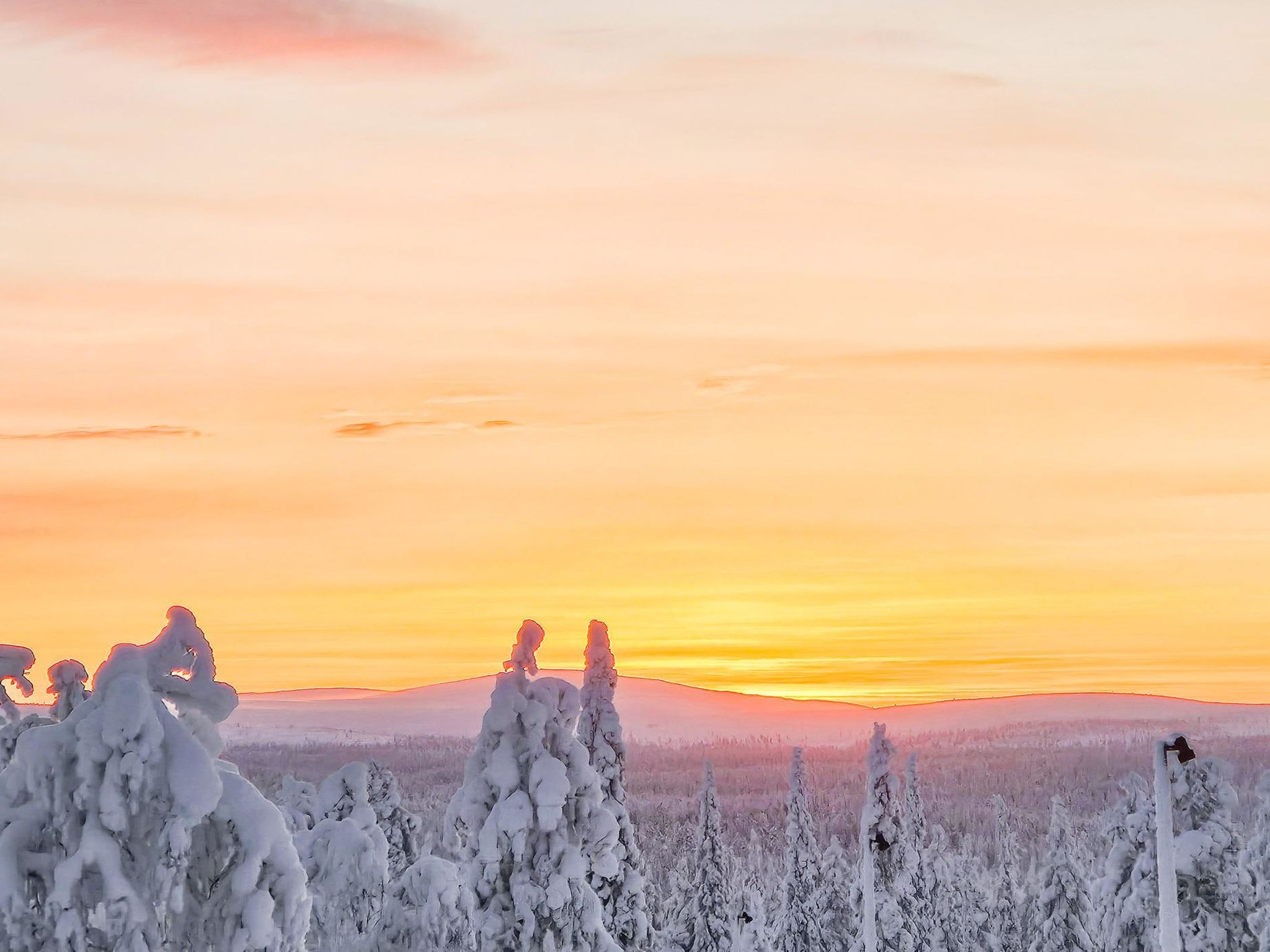 Photo of Kauniskelo B