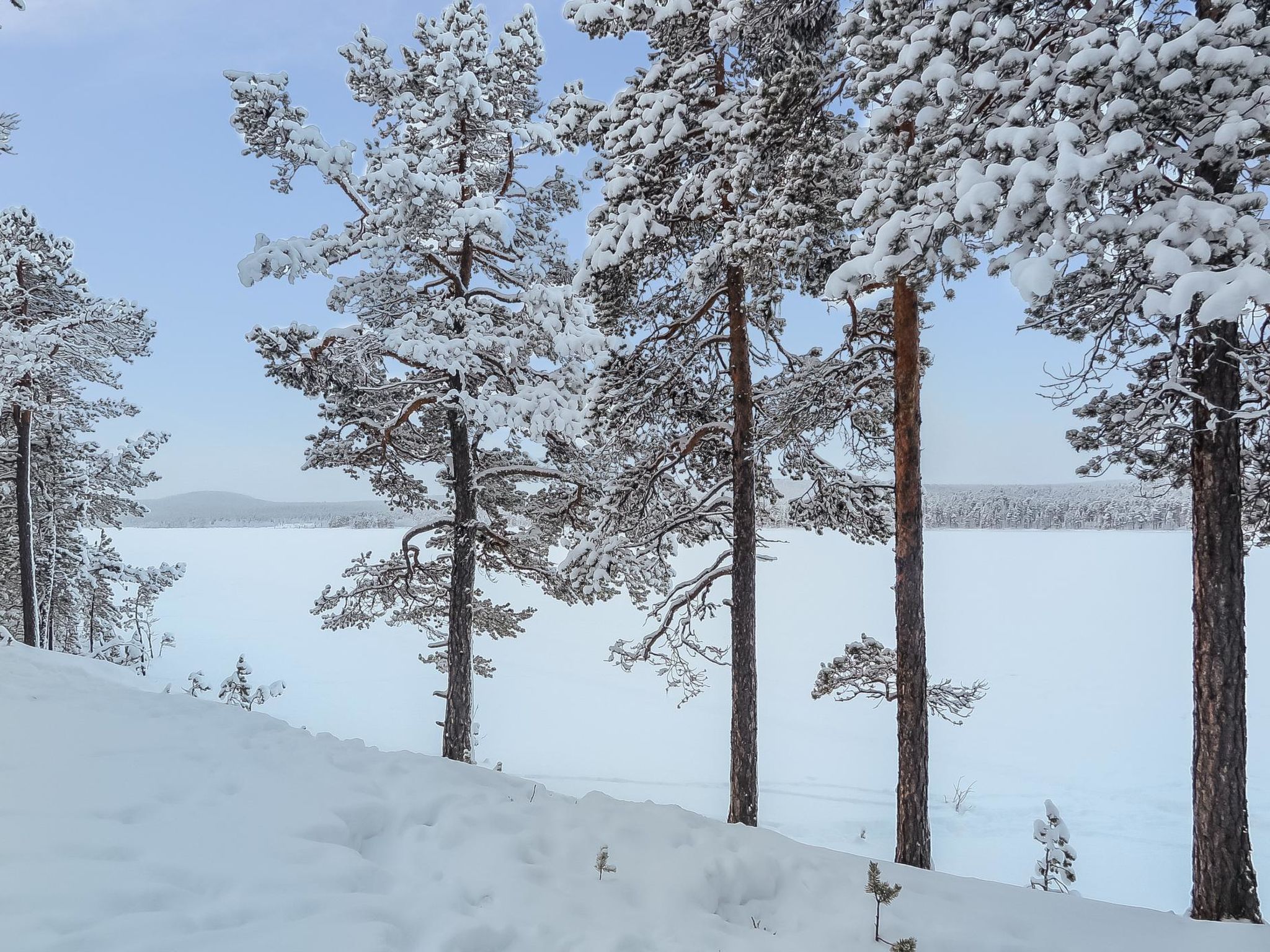 Photo of Lemmenliekki 2