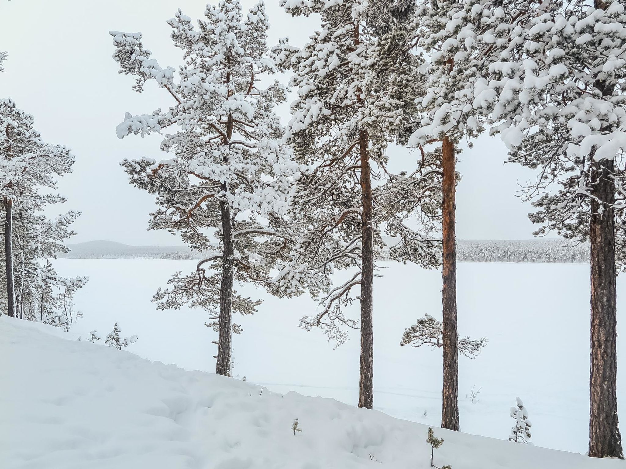 Photo of Lemmenliekki 3