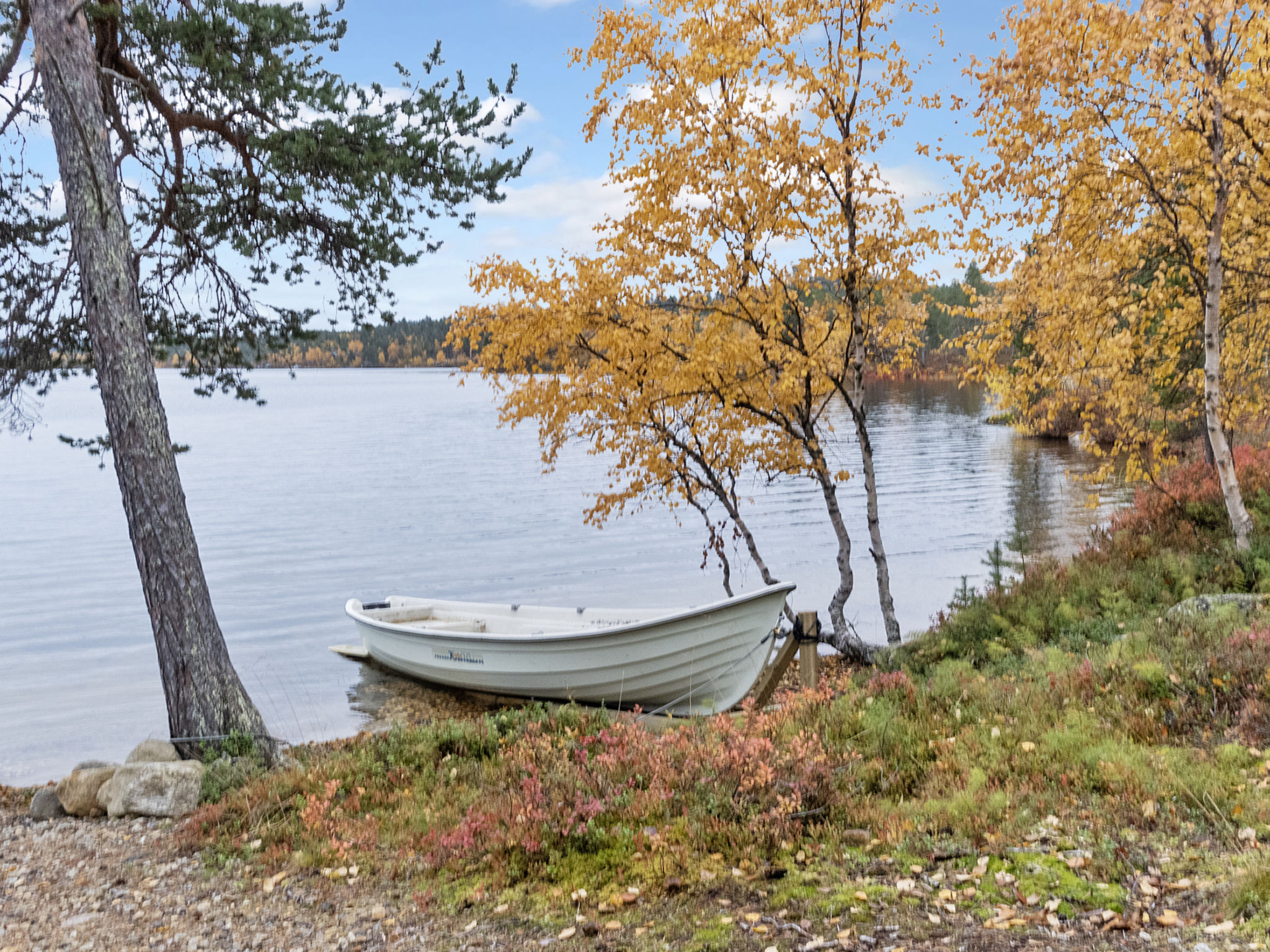 Peurakumpu