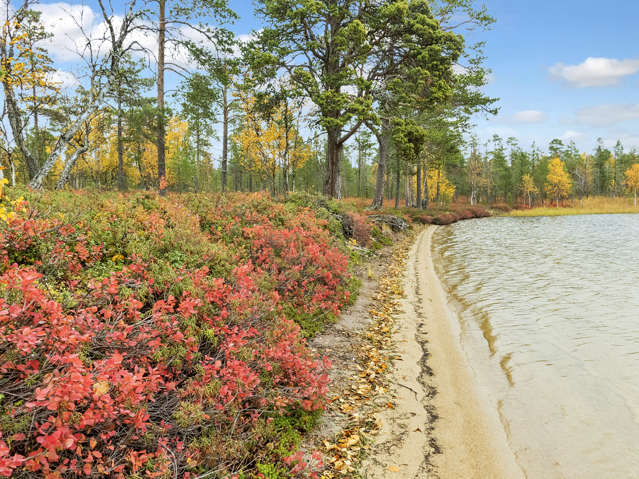 Peurakumpu