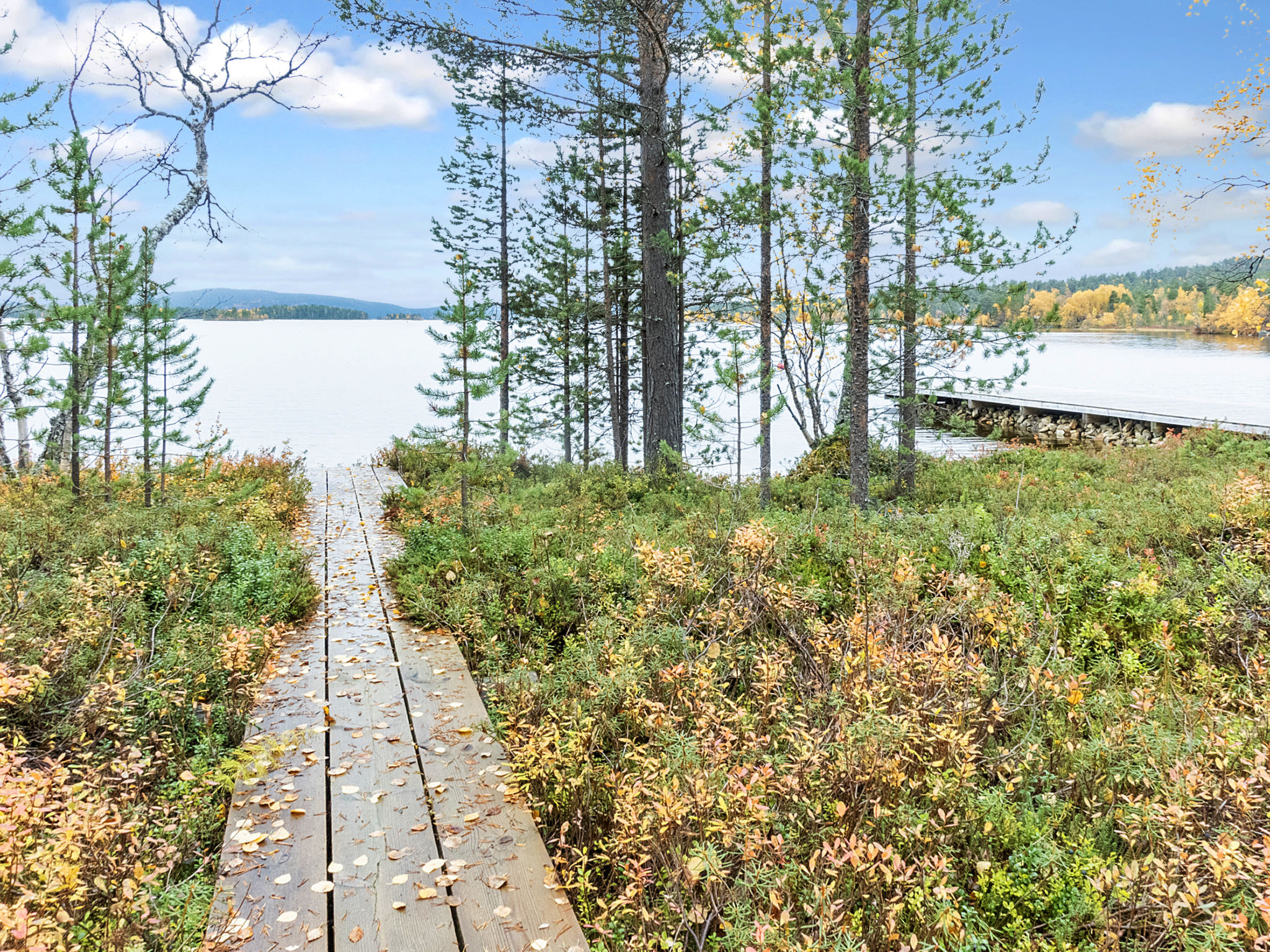 Peurakumpu