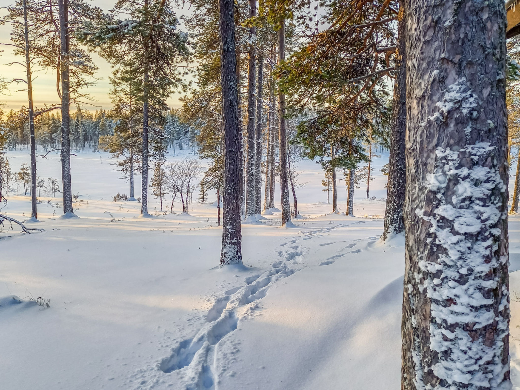 Photo of Vuolkuma b