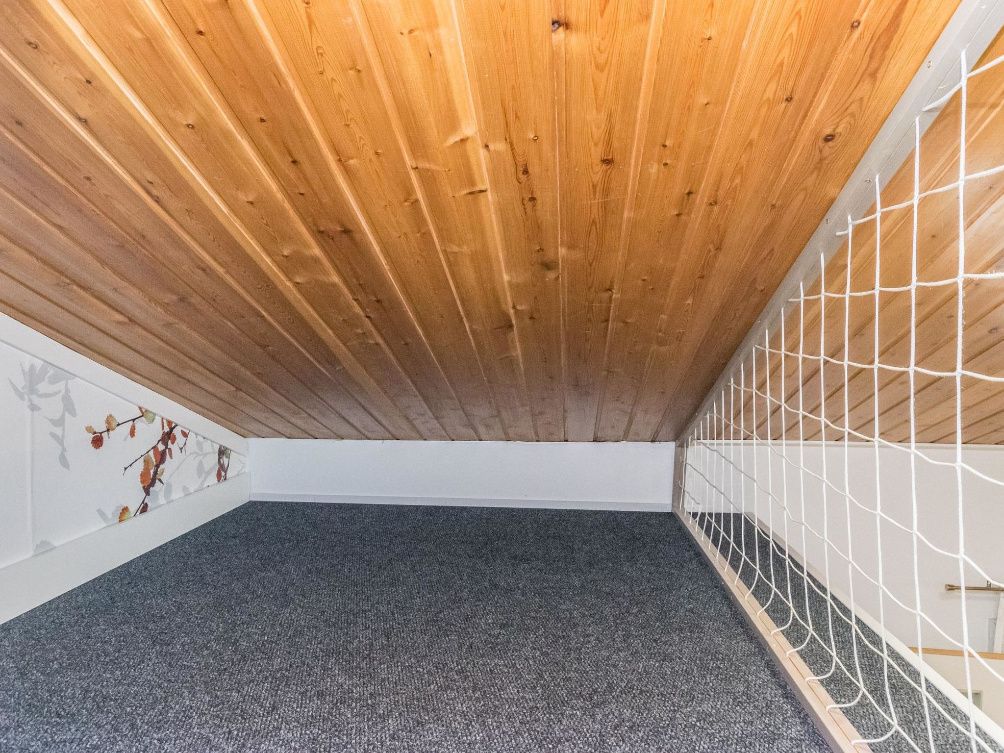 Photo of Saarihely a 5