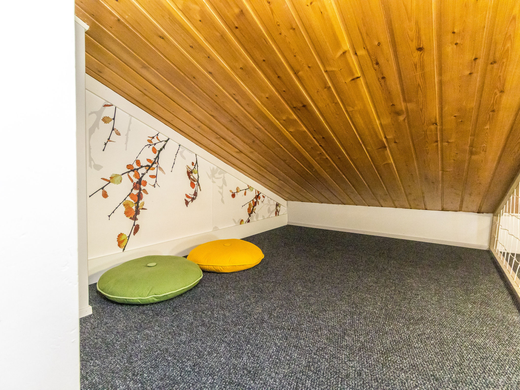 Photo of Saarihely a 5