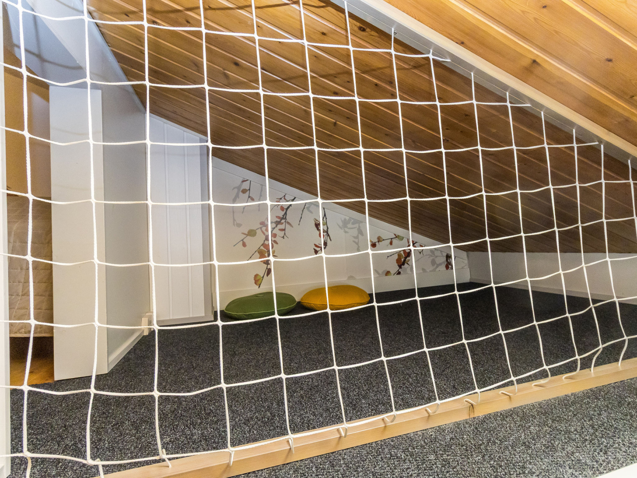 Photo of Saarihely a 5