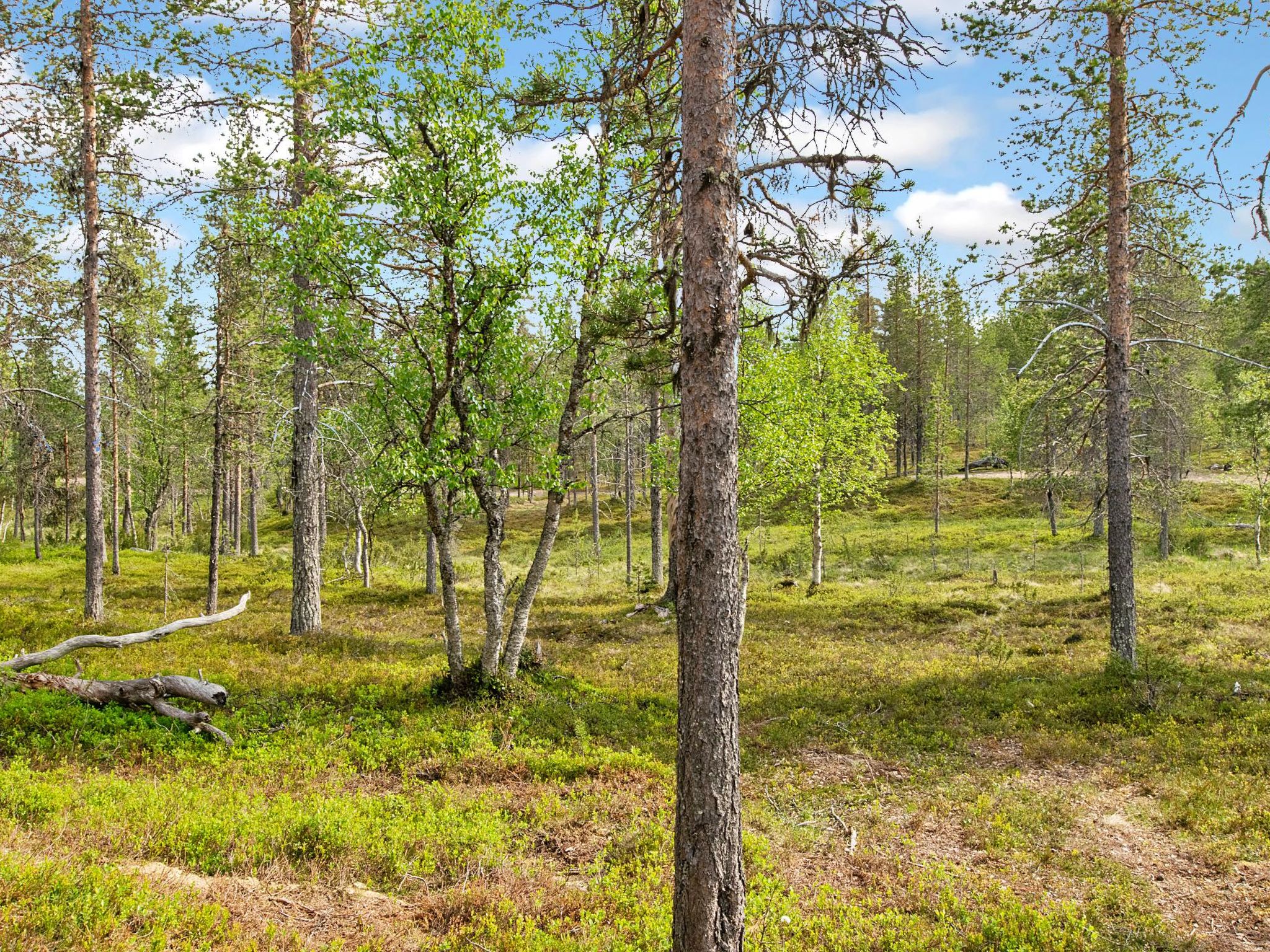 Photo of Saariselän Waskooli A