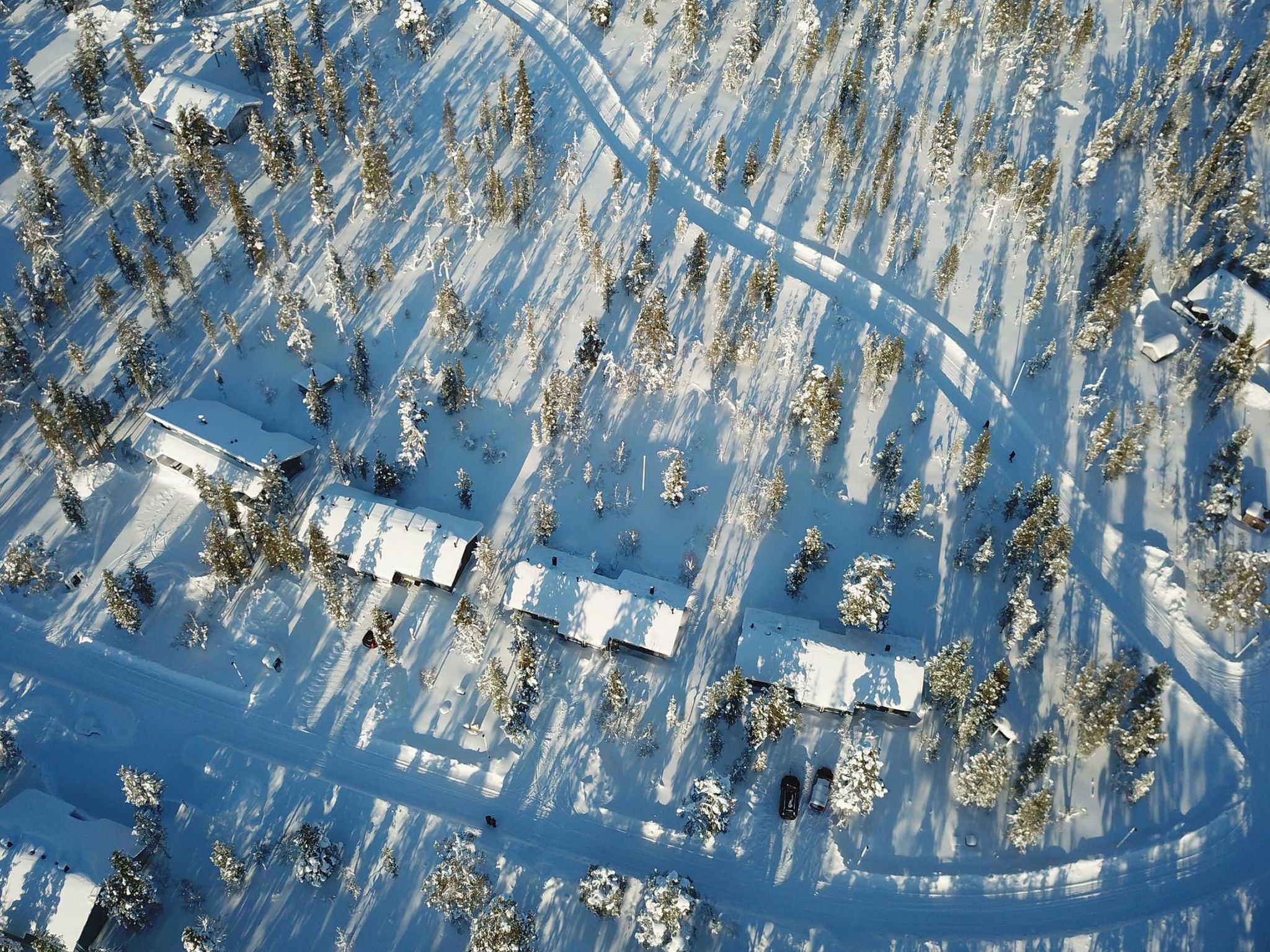 Photo of Tunturikoivu A1