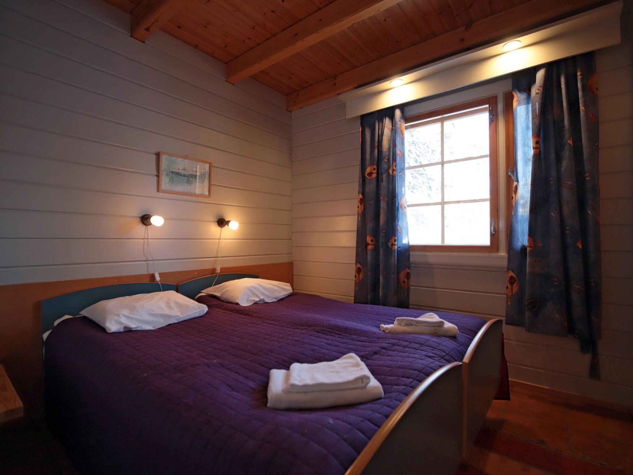 Photo of Tunturikoivu a2