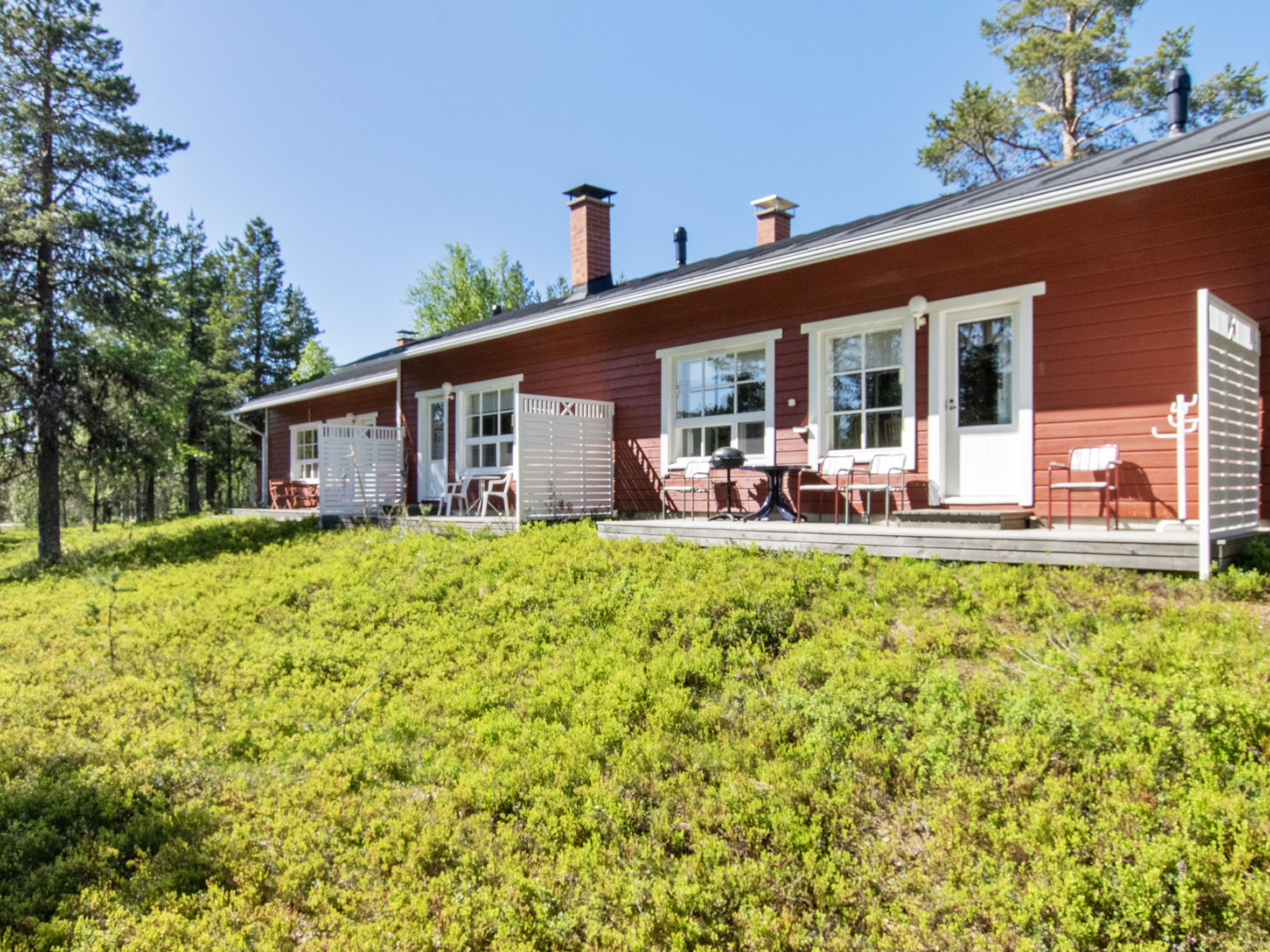 Urupää b 6
