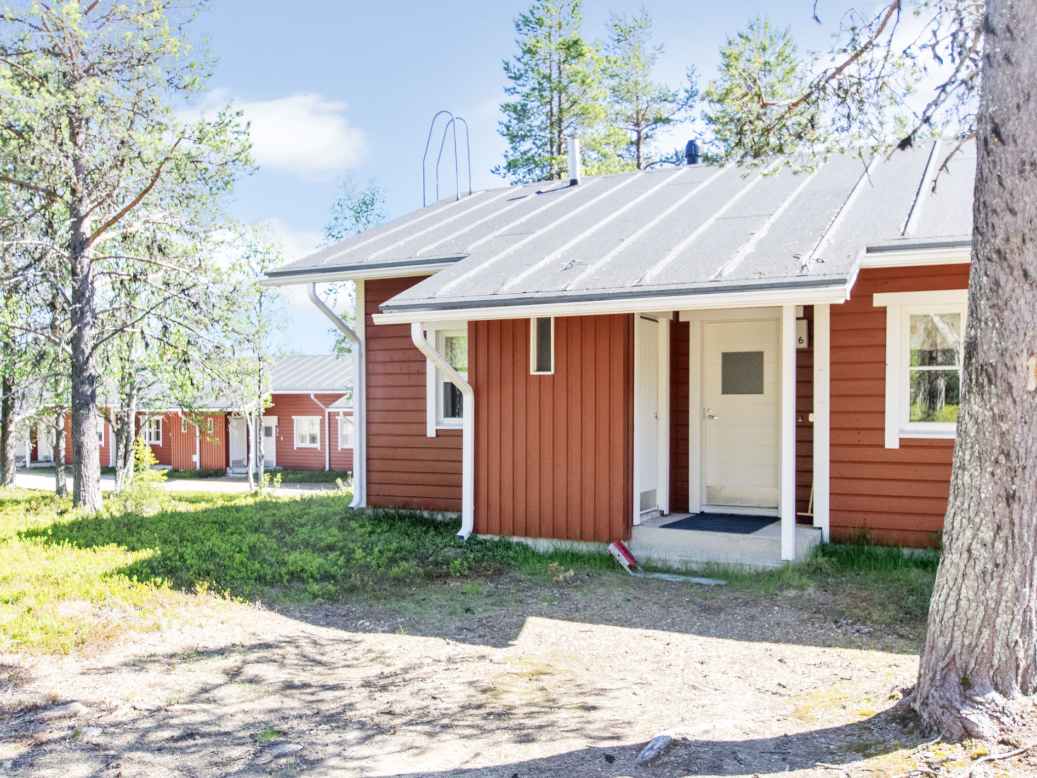 Urupää b 6