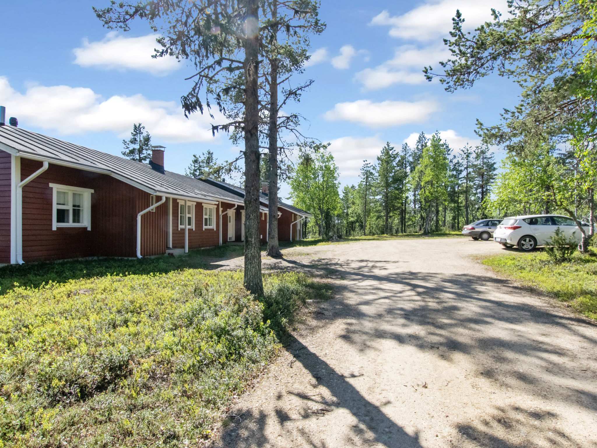 Urupää b 6