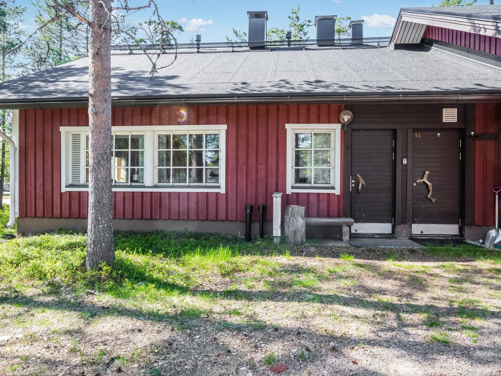 Photo of Soidinaukia a 11