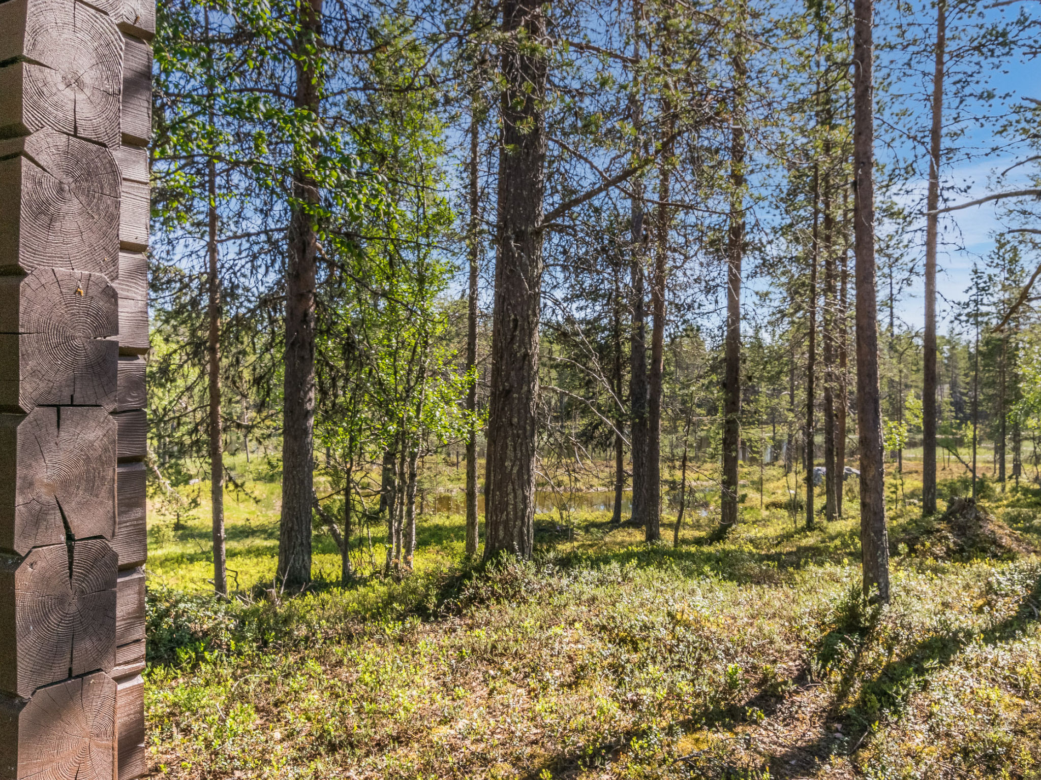 Metsäntupa