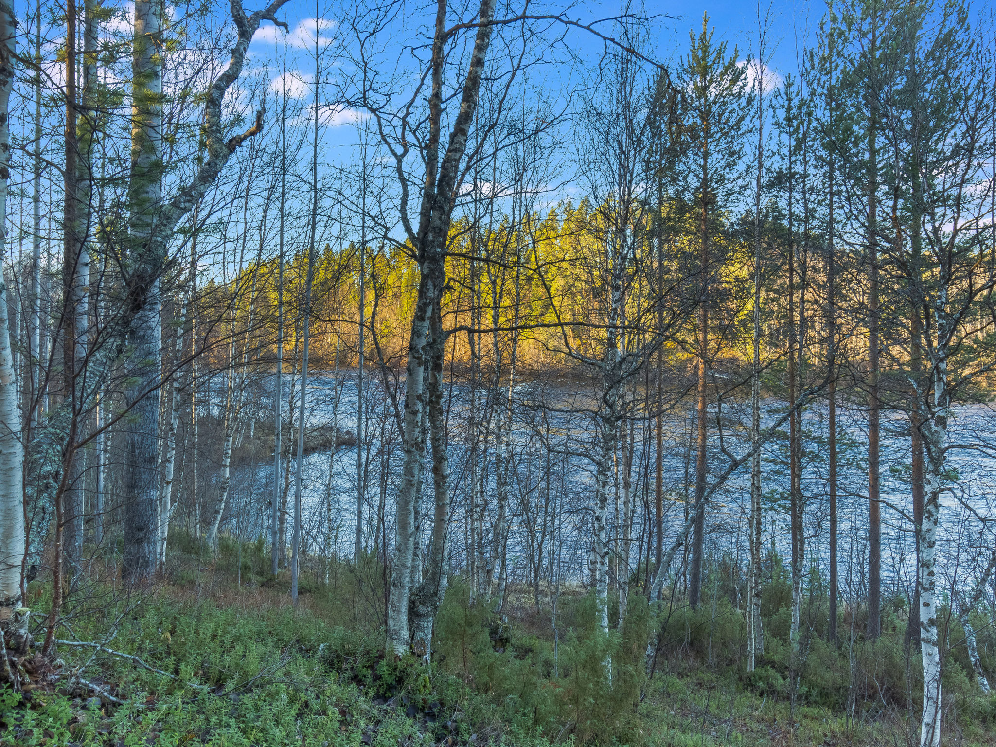 Alakoski