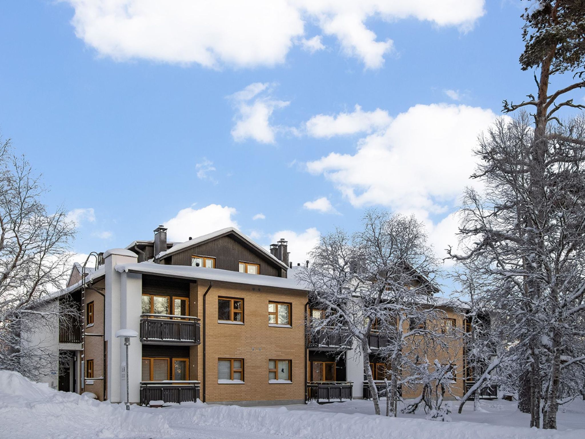 Photo of Lomariekko 6 a 2