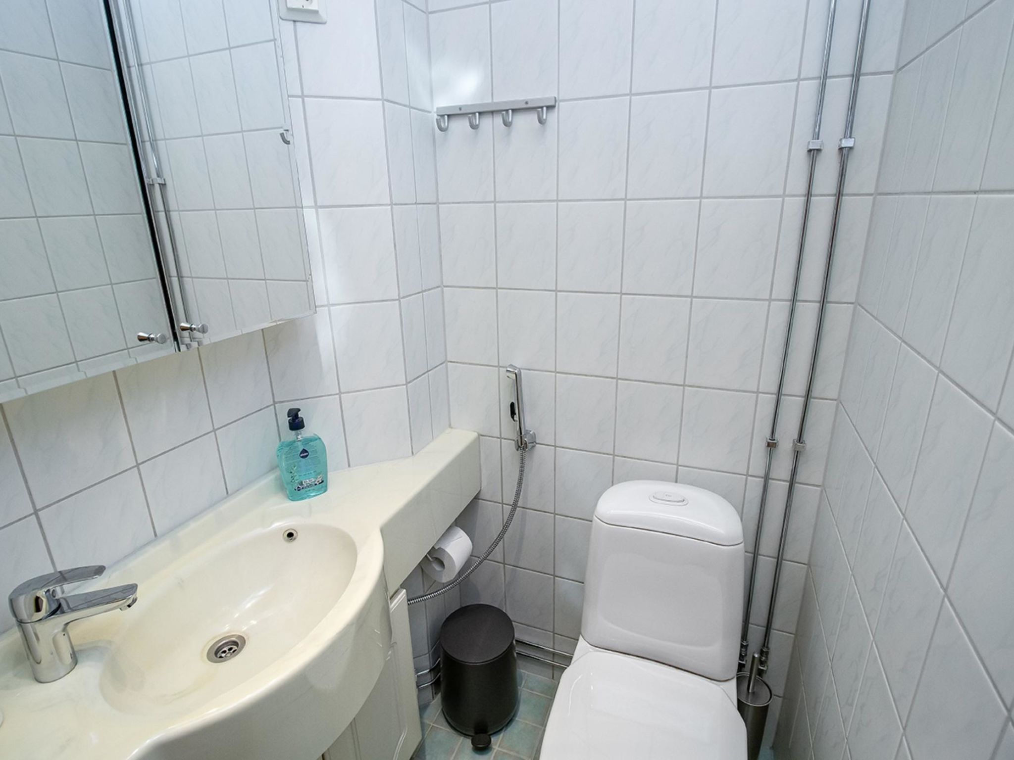 Photo of Lomariekko 6 a 2