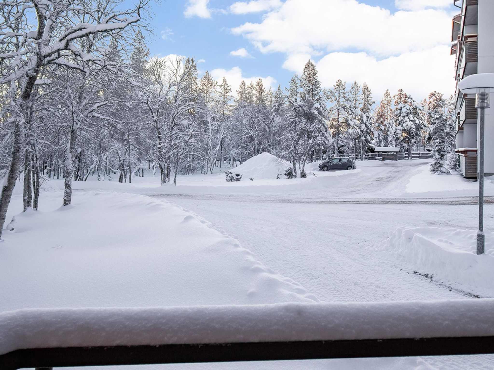 Photo of Lomariekko 6 a 2