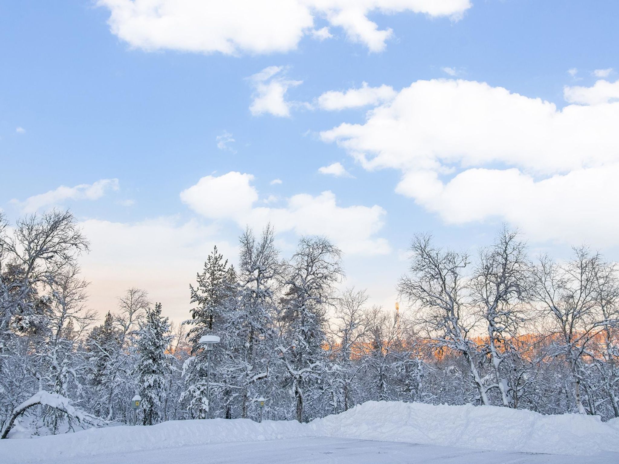 Photo of Lomariekko 6 a 2