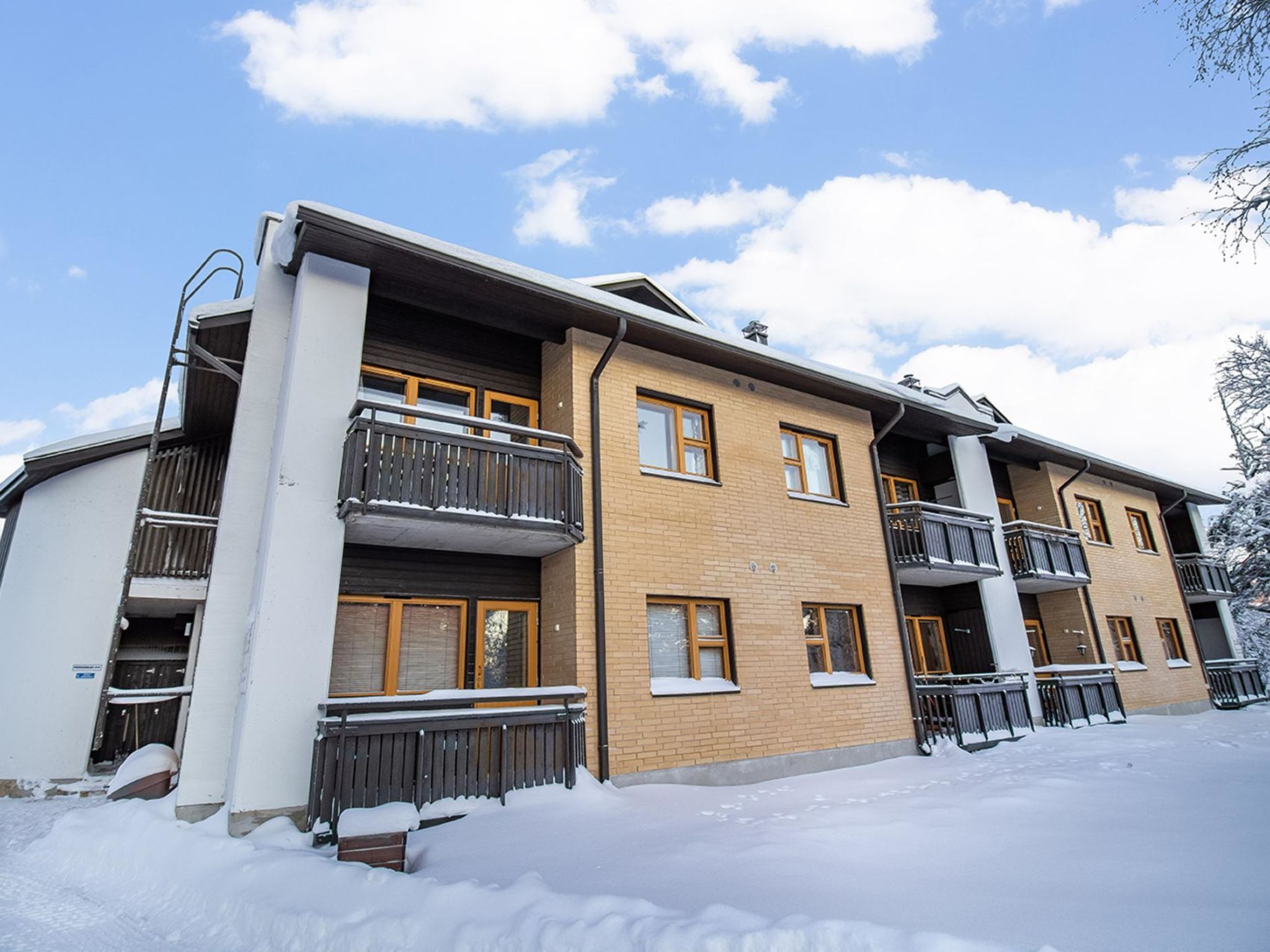 Photo of Lomariekko 6 a 2