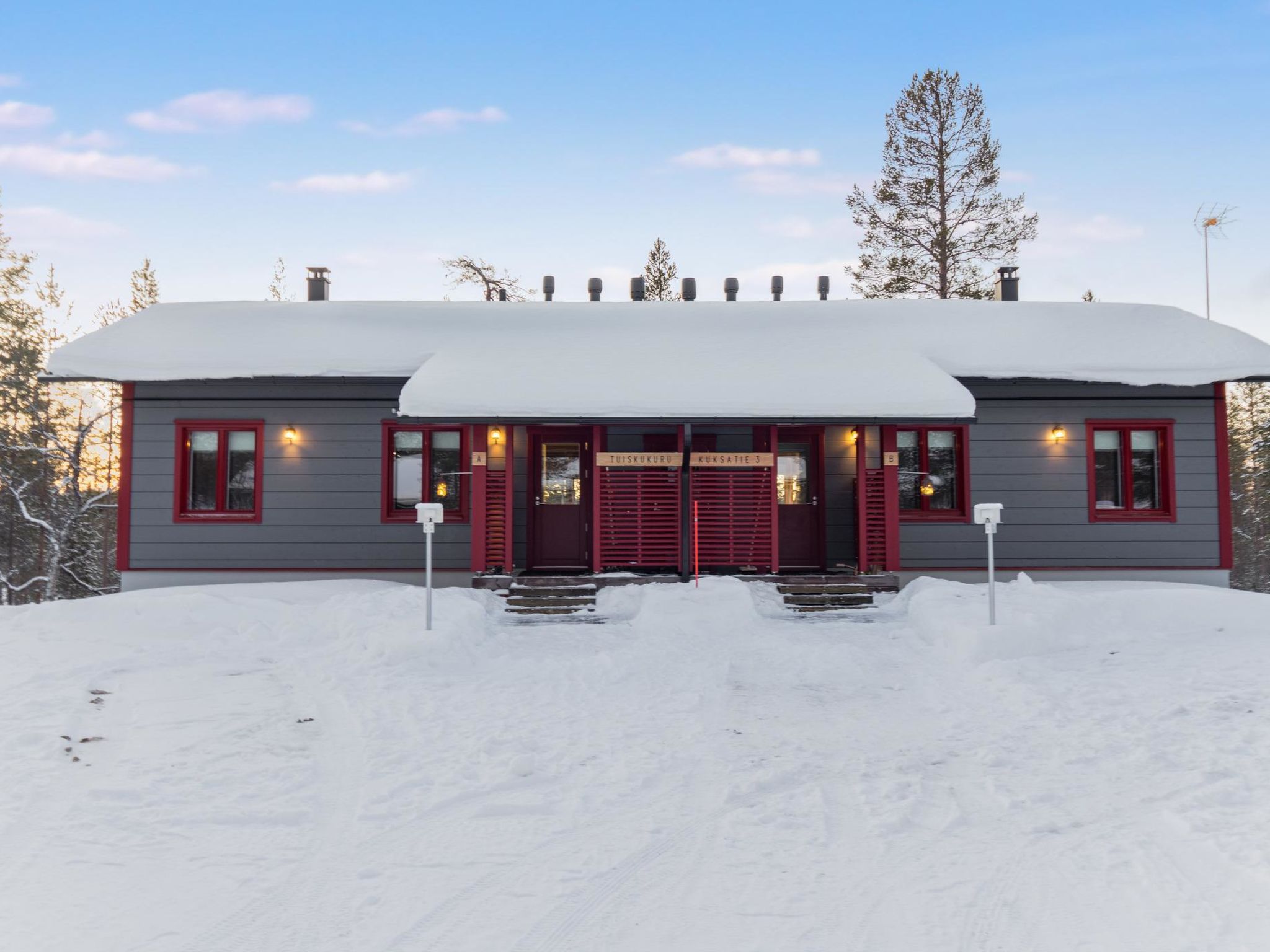 Photo of Tuiskukuru a