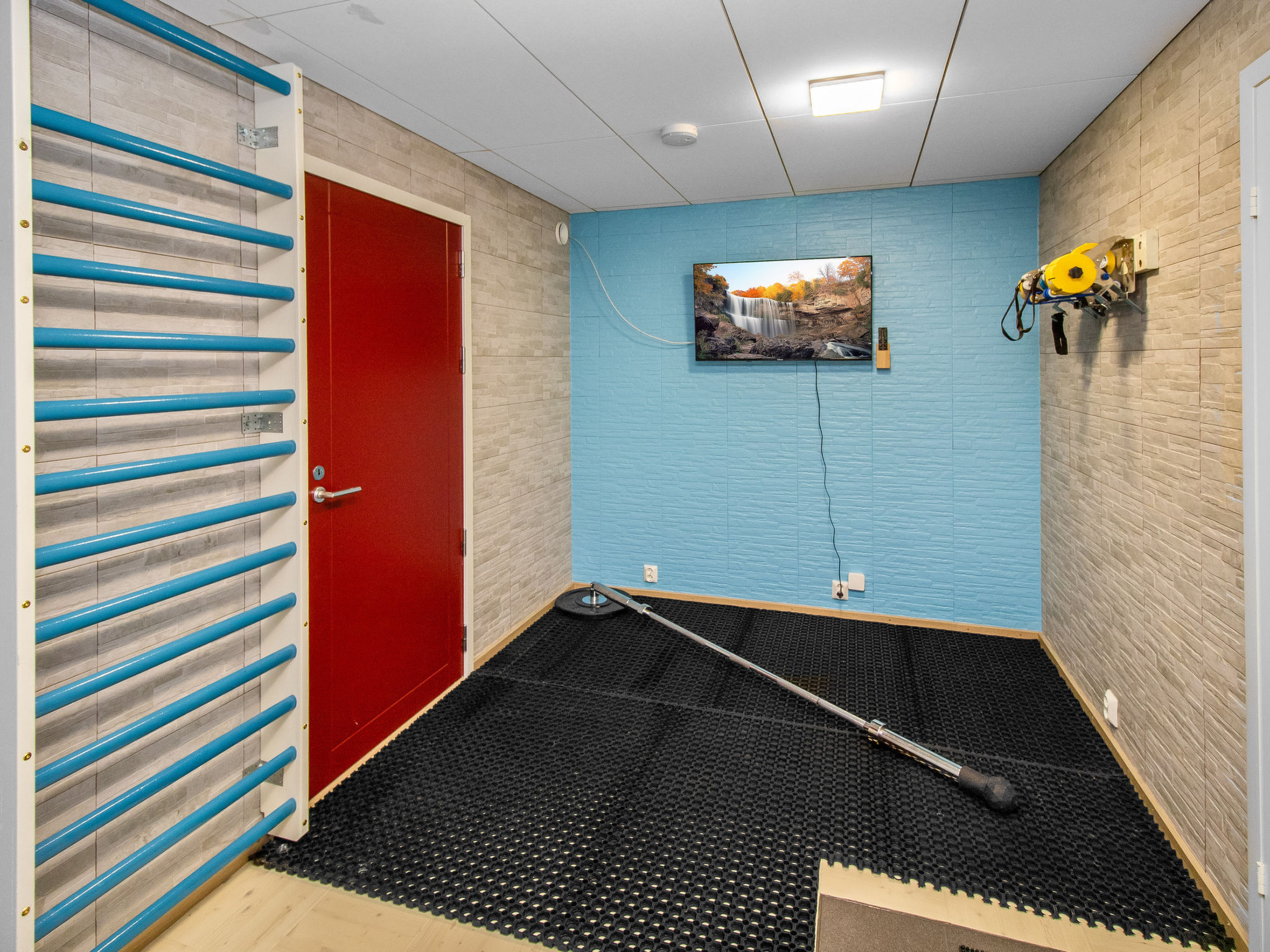 Photo of Tuiskukuru a