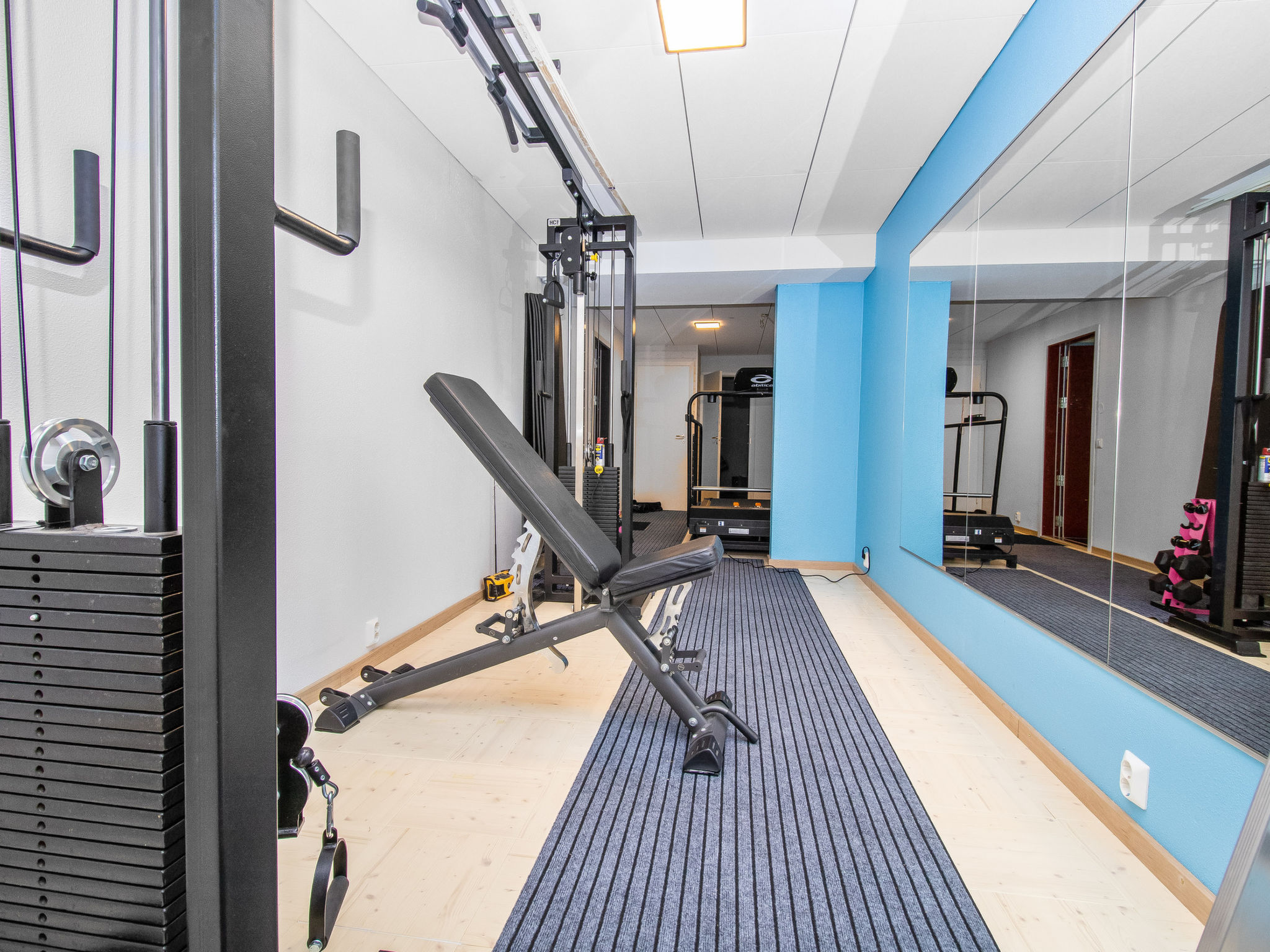 Photo of Tuiskukuru a