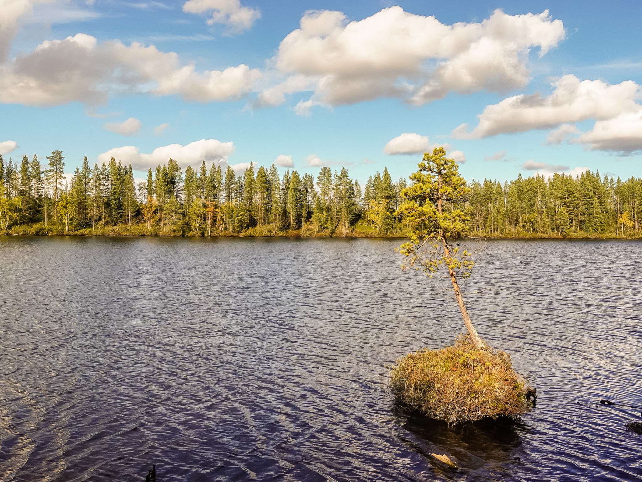 Kultaranta ii