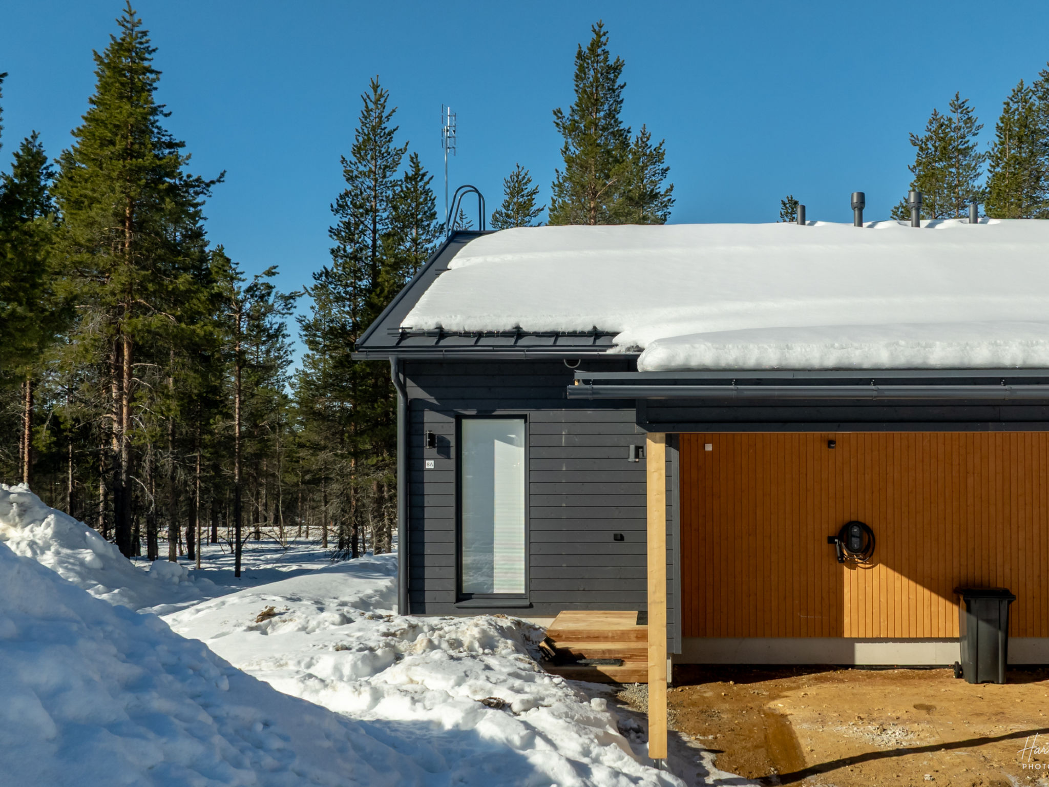 Photo of Saariselän aavahelmi a